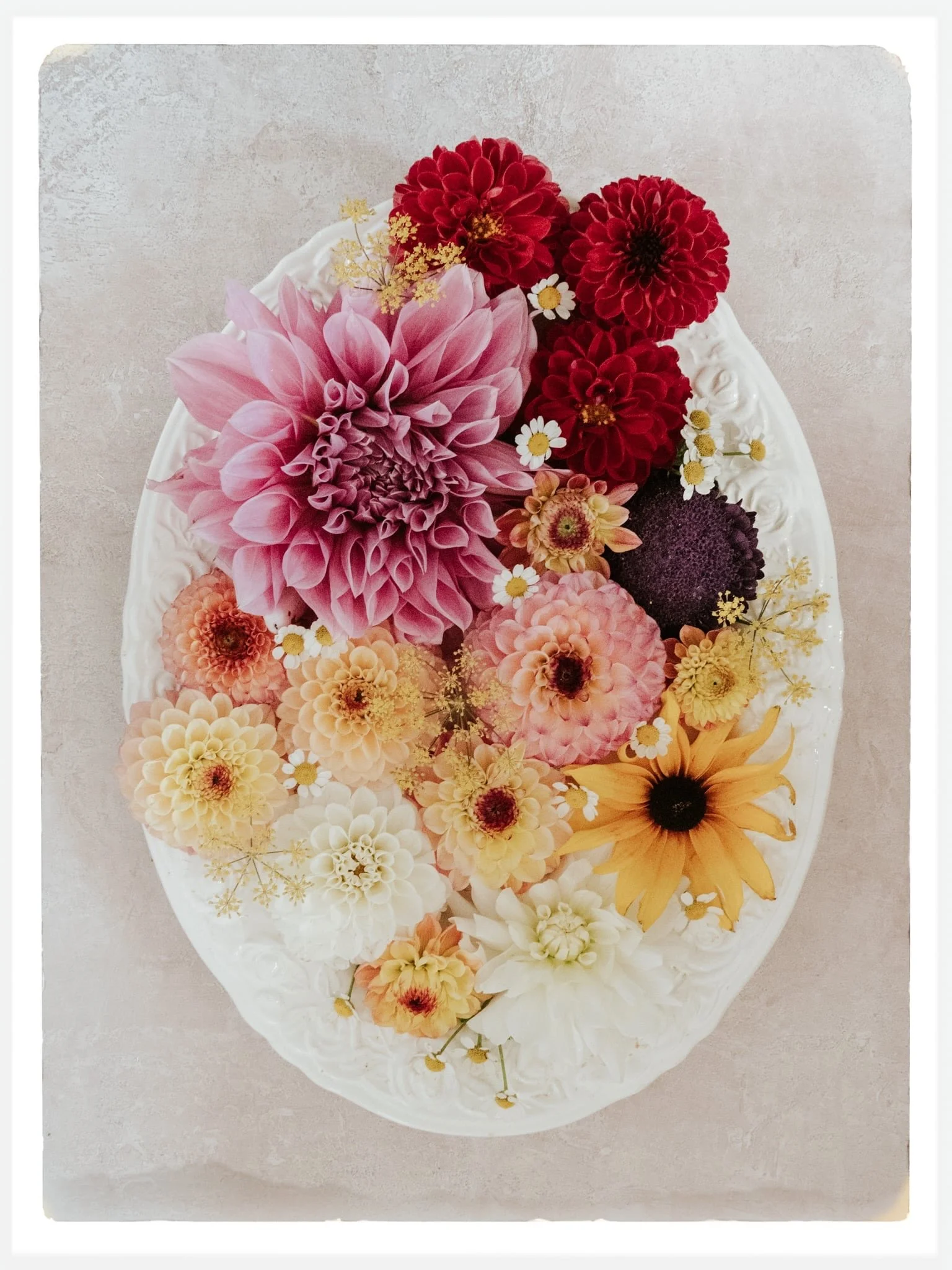Dahlia flat lays with beautiful blooms from @yalhamhayes 

Sunday afternoon floral faffing&hellip;