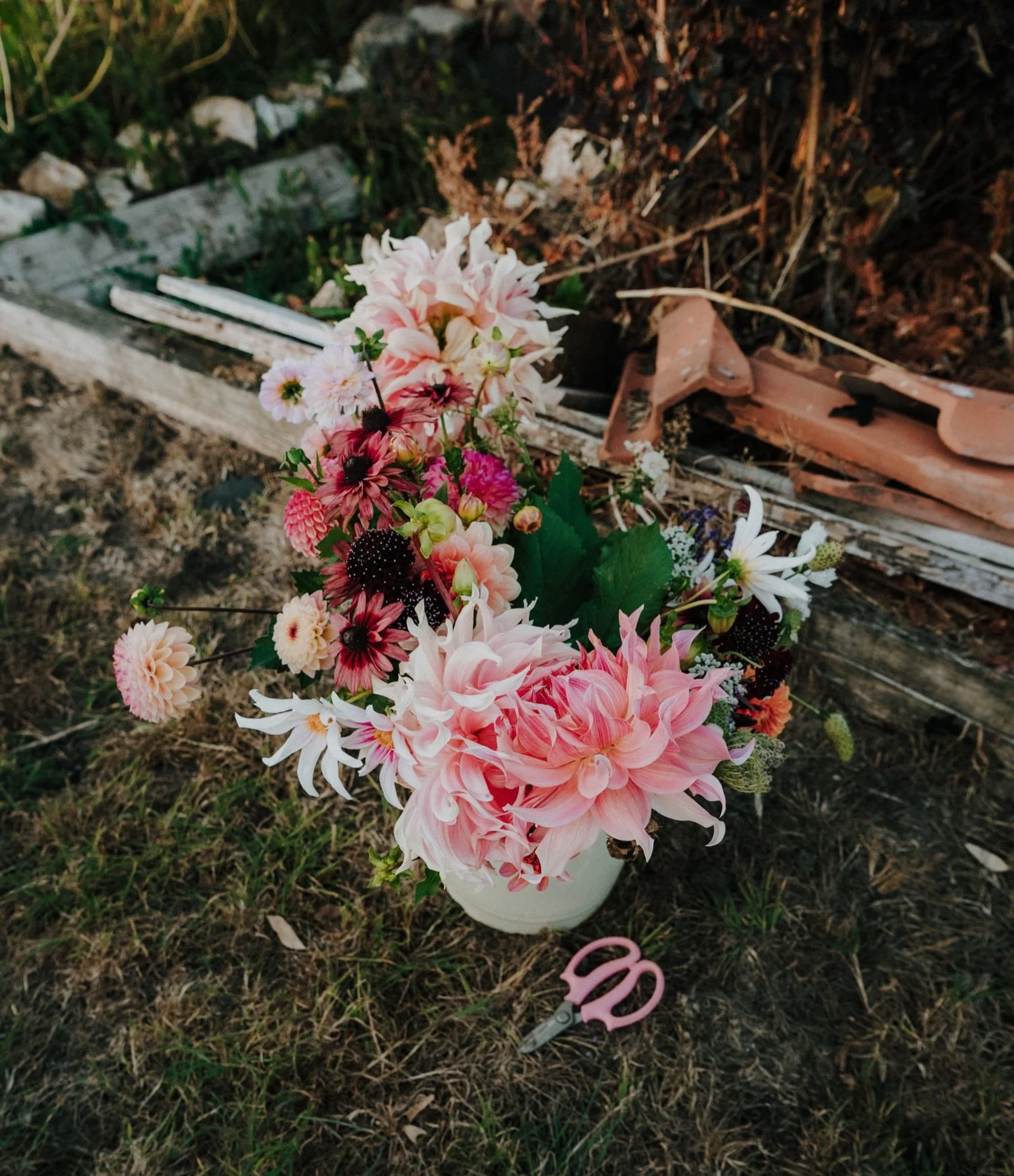 Almost a week since I got to photograph these beauties @yalhamhayes - dahlia season really is quite marvellous&hellip;