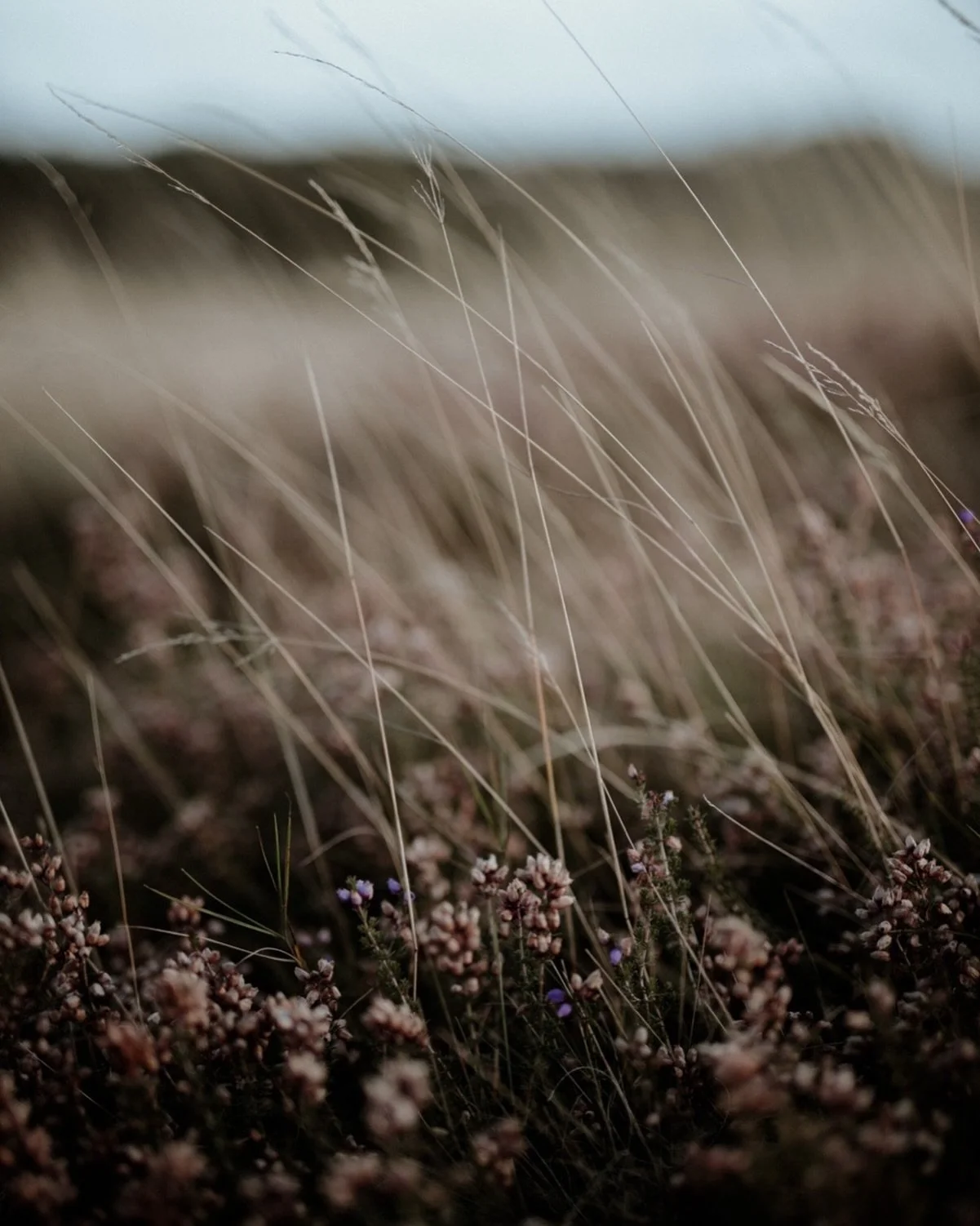 Out in the wilderness&hellip;