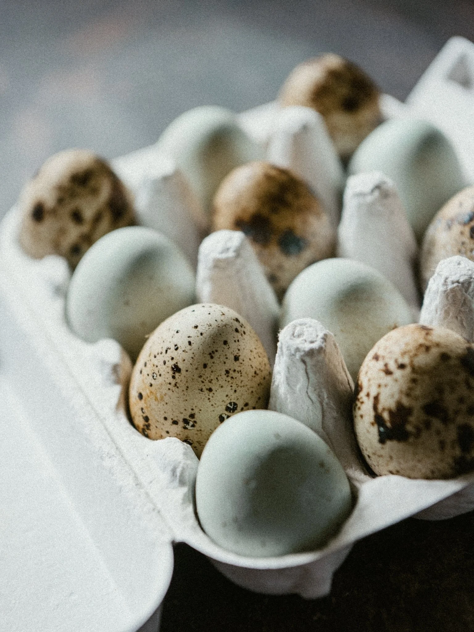 My quail excelling themselves in the egg production stakes this week!