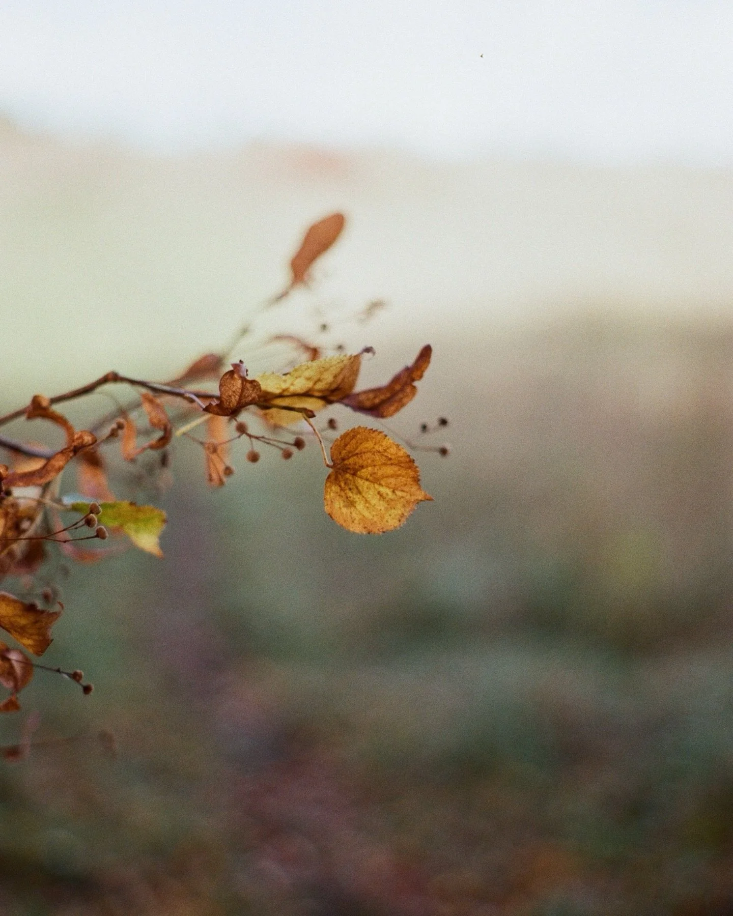 October on film&hellip;
