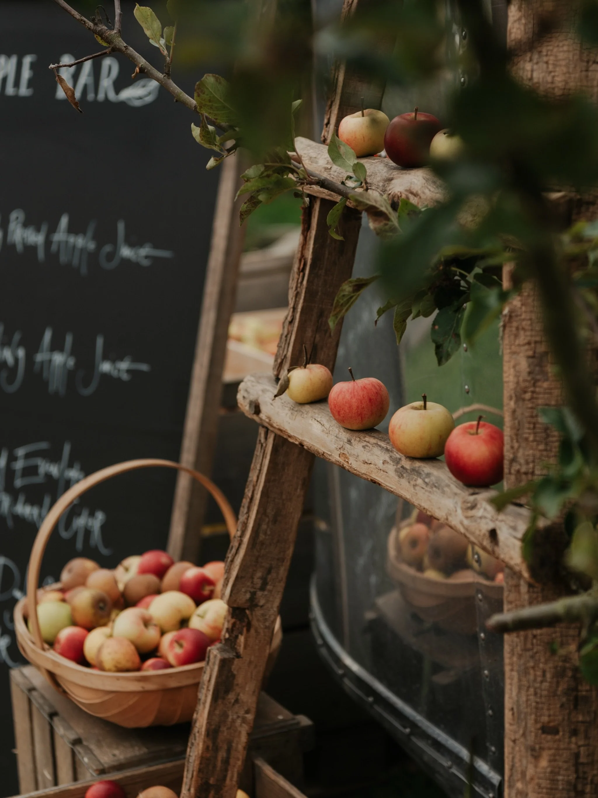 Thinking back to this time last year and the wonderful @daylesfordfarm apple days!