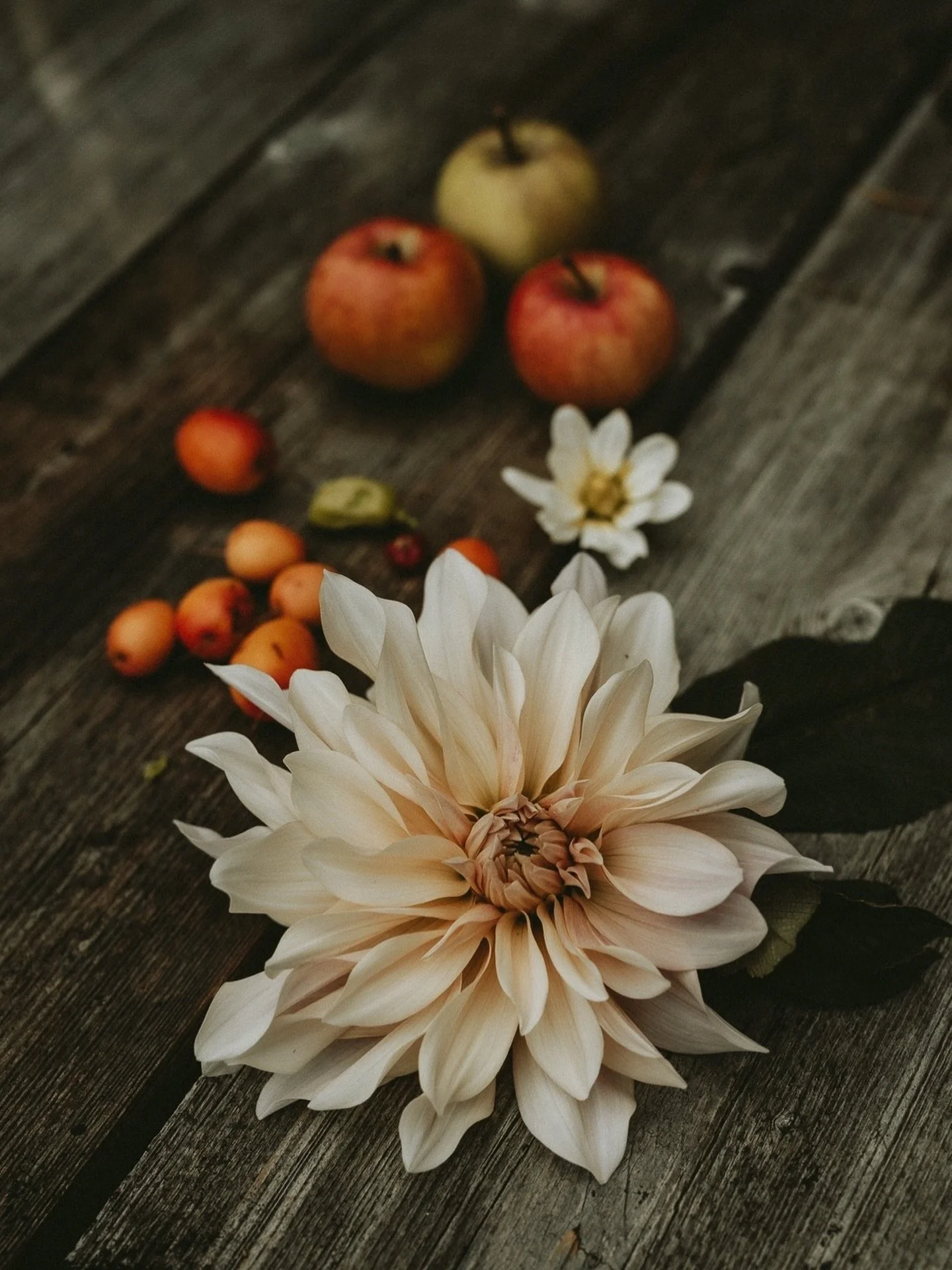 Autumn Sundays&hellip;