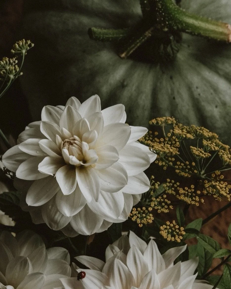 Autumn in the garden&hellip;