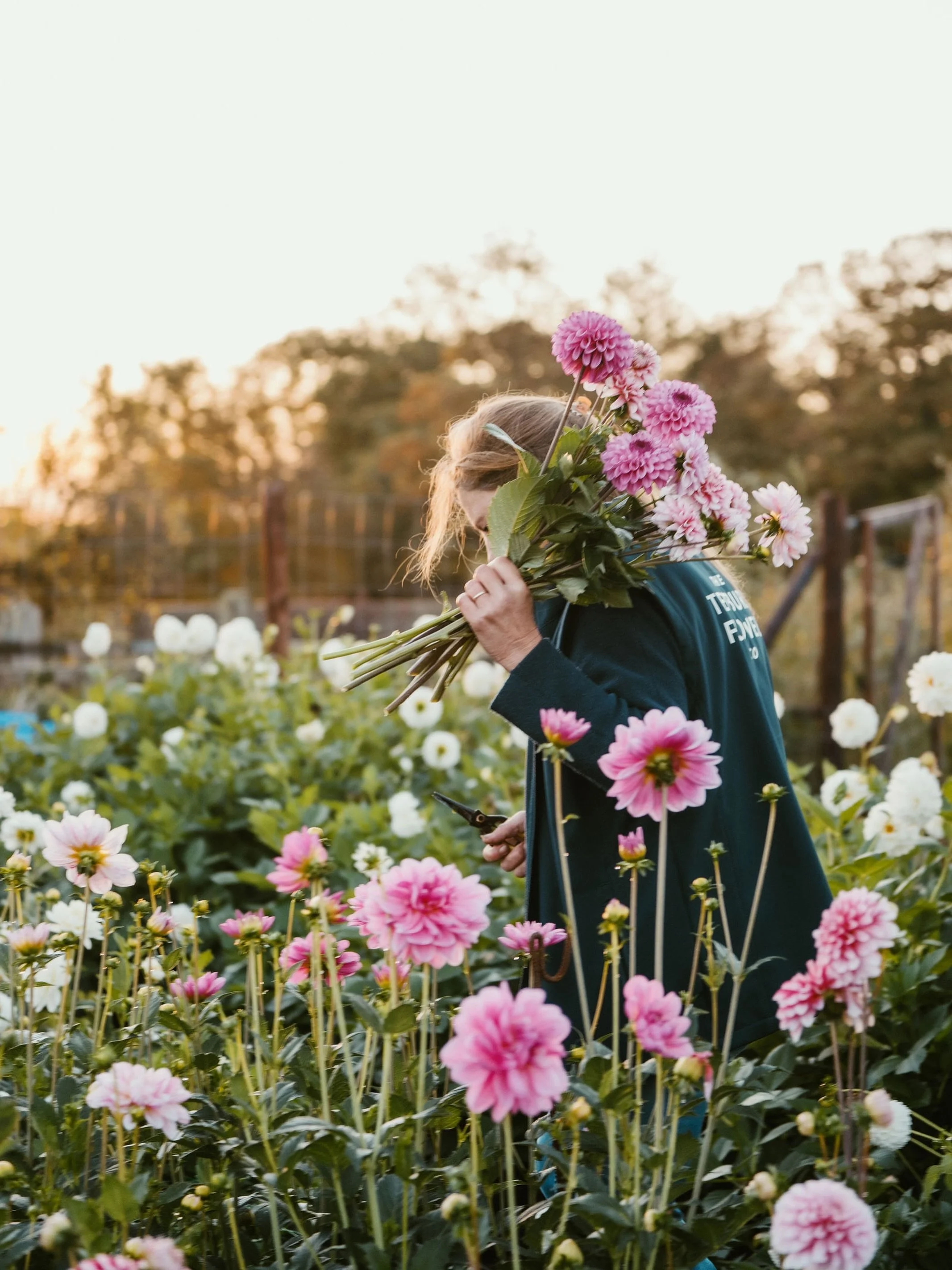 When the @thetetburyflowerco asks you photograph at dawn&hellip;
