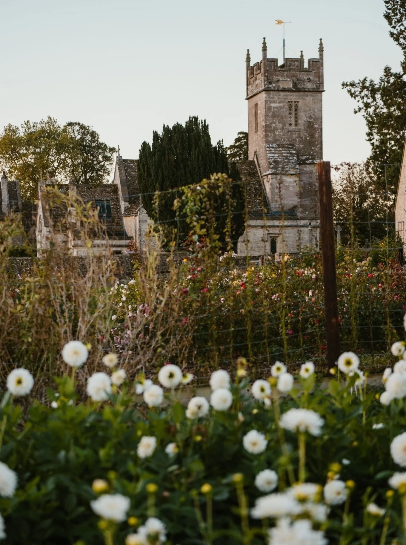 Autumn @thetetburyflowerco