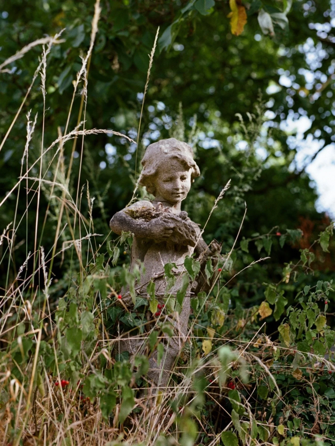 A little garden moment on film..

#nikonf5 #kodakportra160
