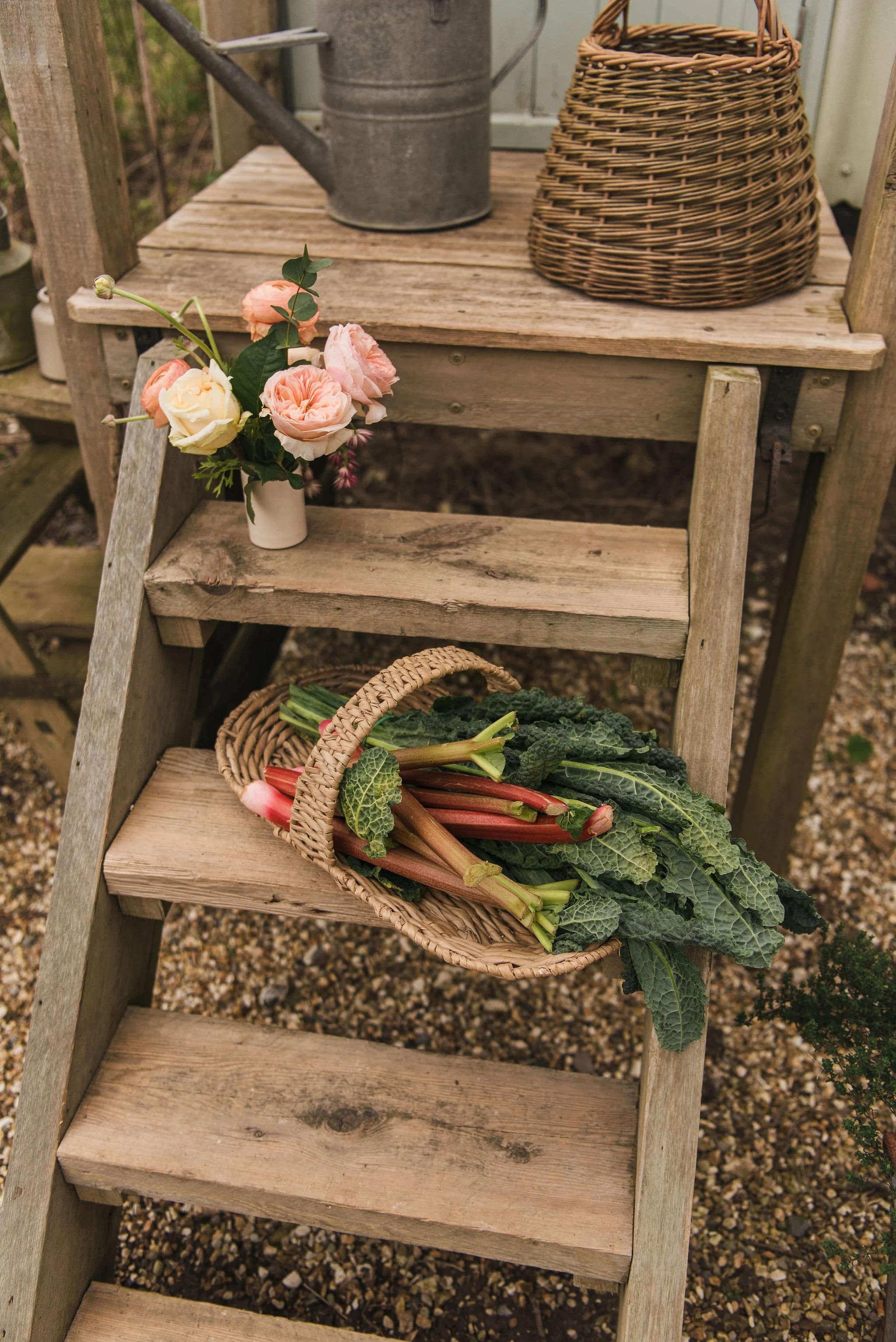 Sorbet Living lifestyle photoshoot by Kate Cullen (41).JPG