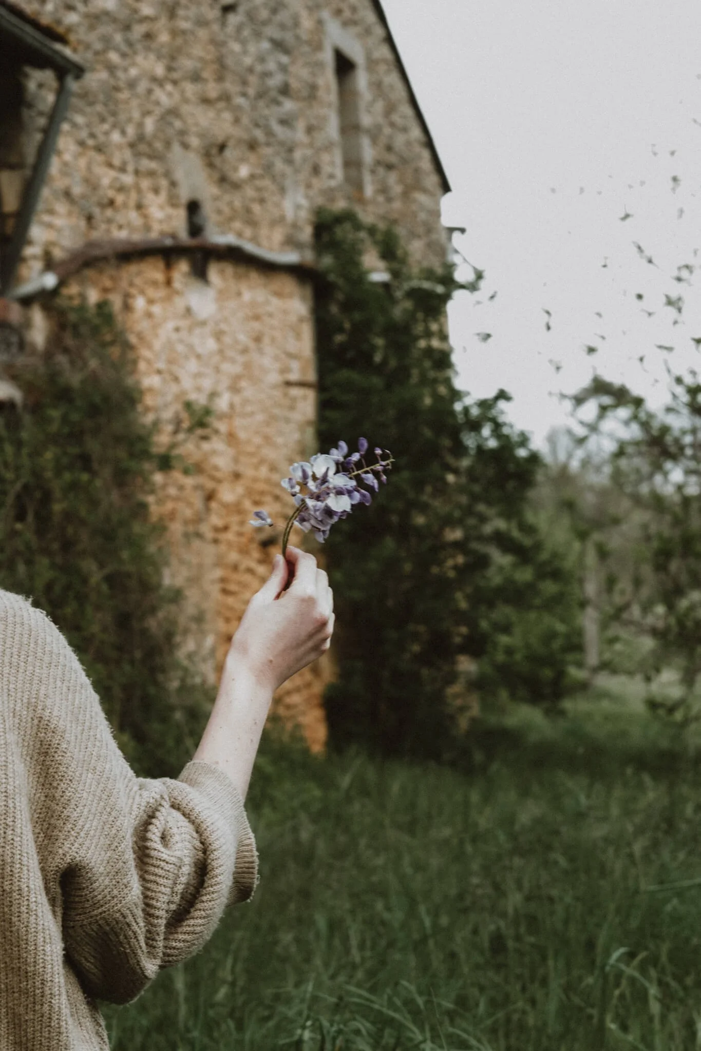 lifestyle photography by Kate Cullen (11).jpg