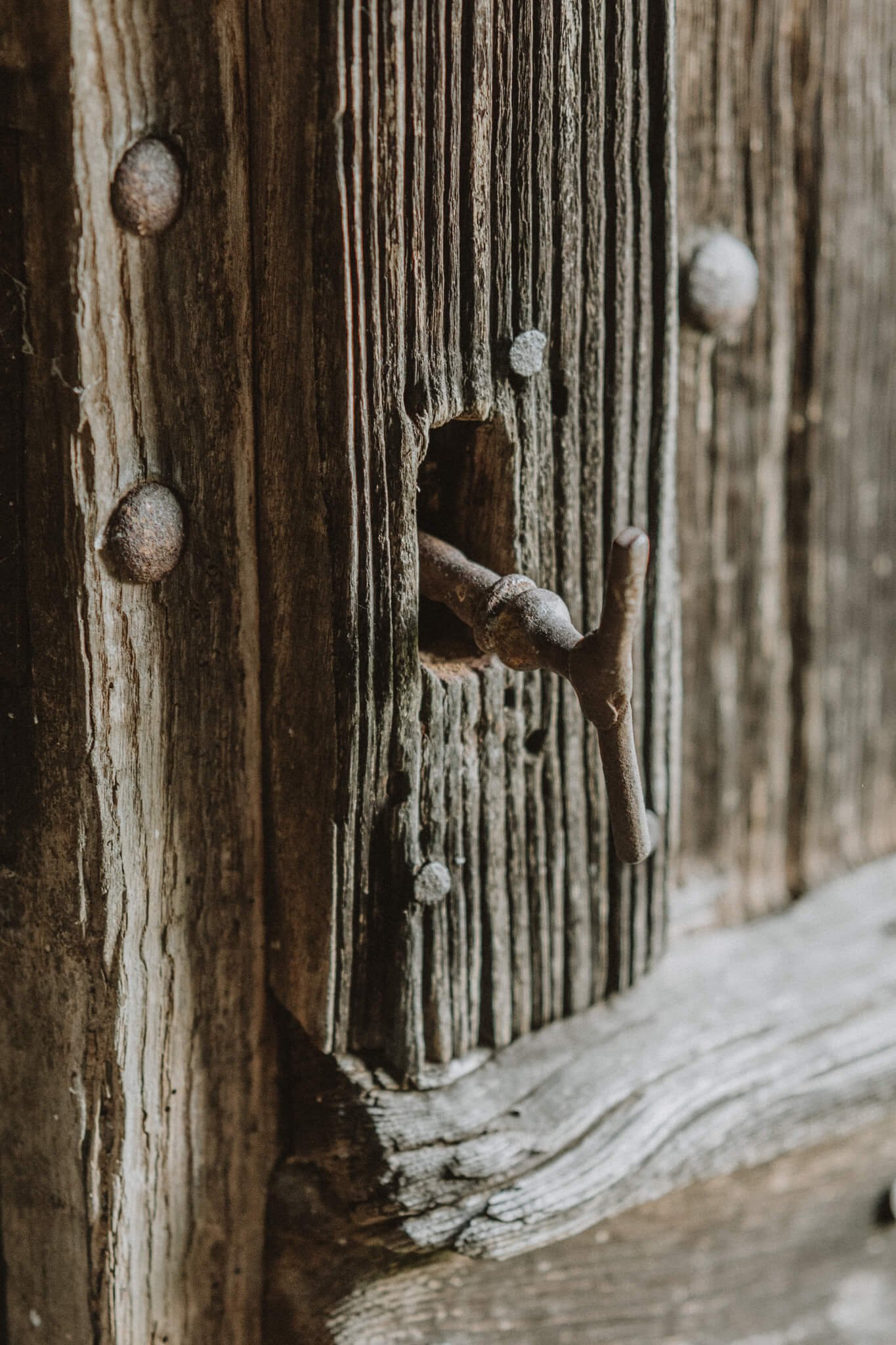 lifestyle photography by Kate Cullen (10).jpg