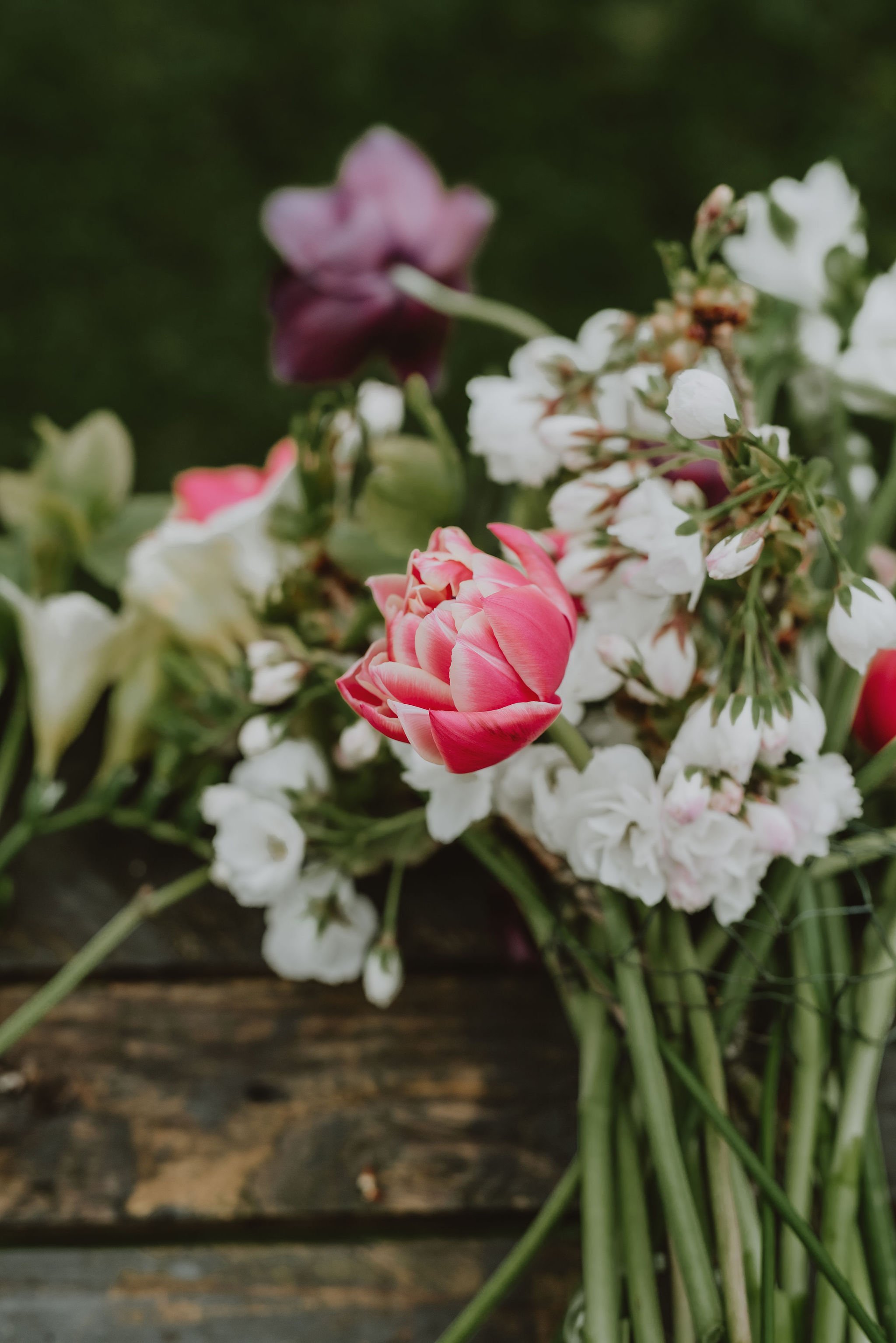 WildlyBeautifulFlowersSpring311.jpg