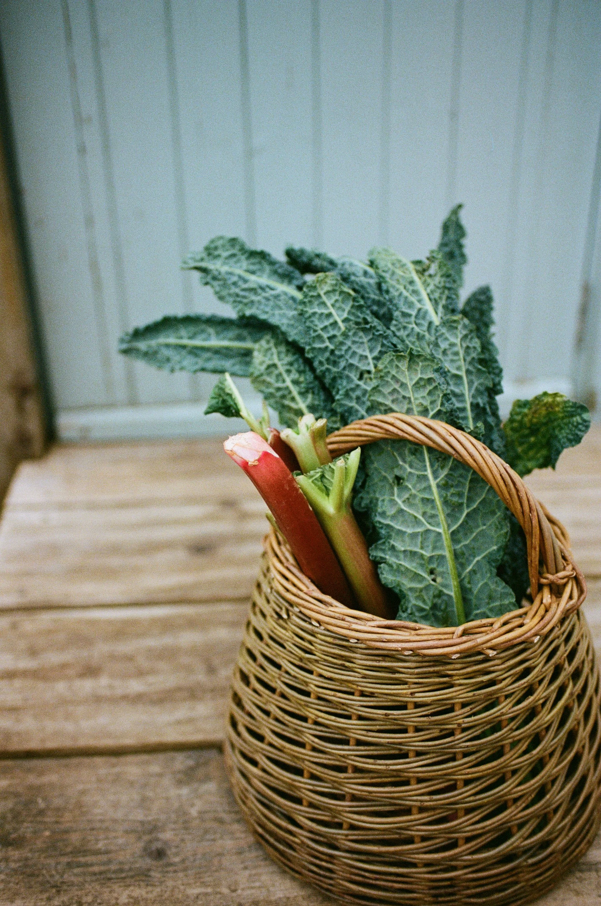 Sorbet Living lifestyle photoshoot by Kate Cullen (49).JPG