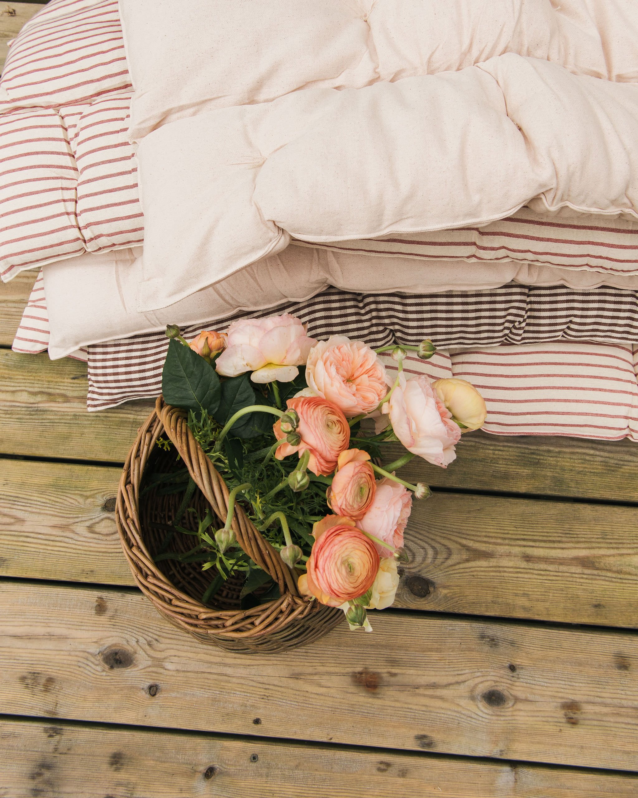 Sorbet Living lifestyle photoshoot by Kate Cullen (37).JPG