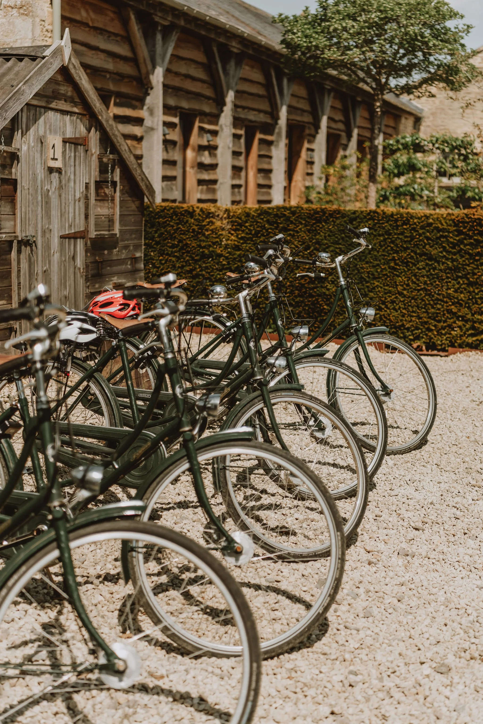 Row of green bicycles with one pink helmet on a gravel surface, against a rustic wooden building and hedge.