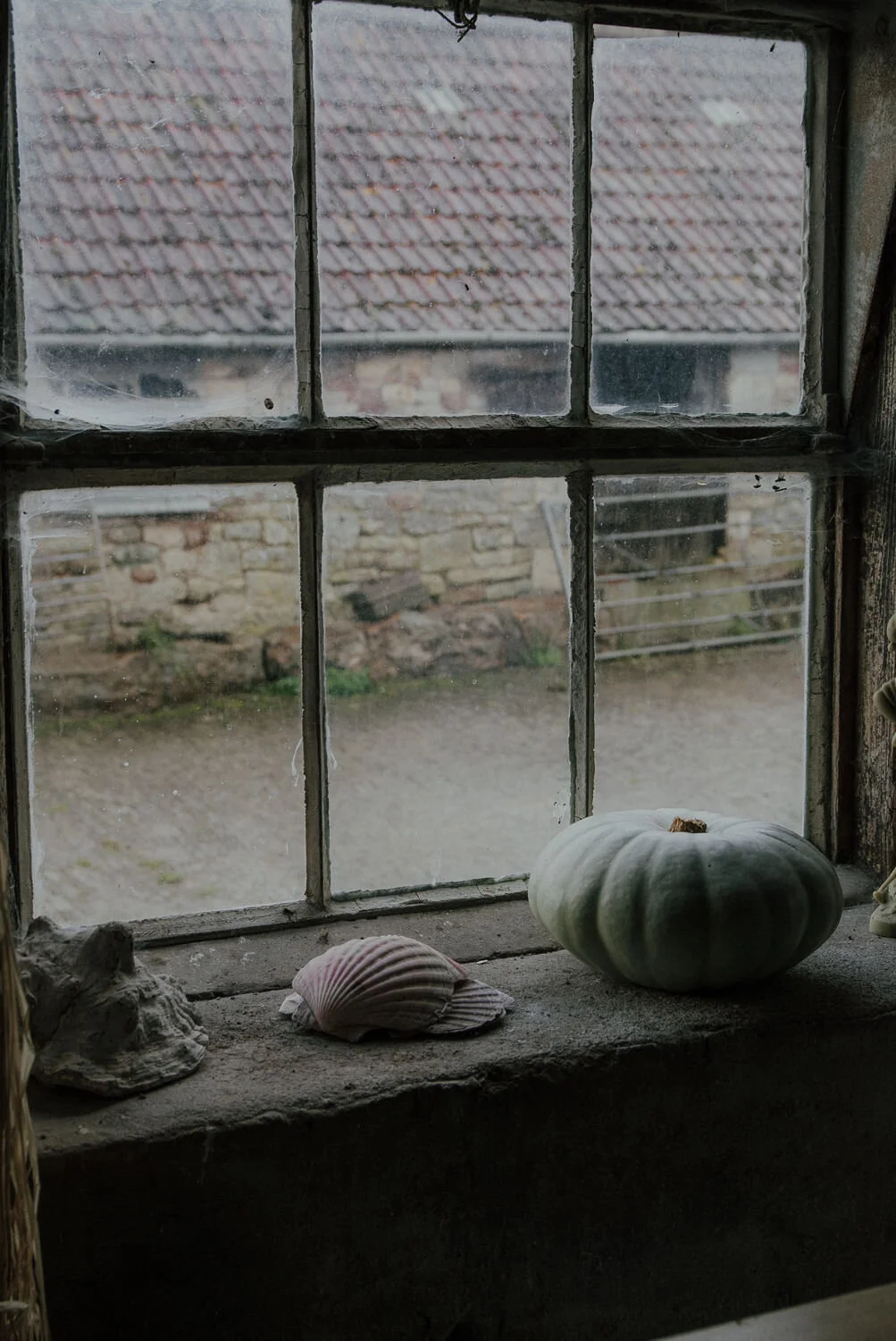 Toria Wildly Beautiful Flowers 30.jpg