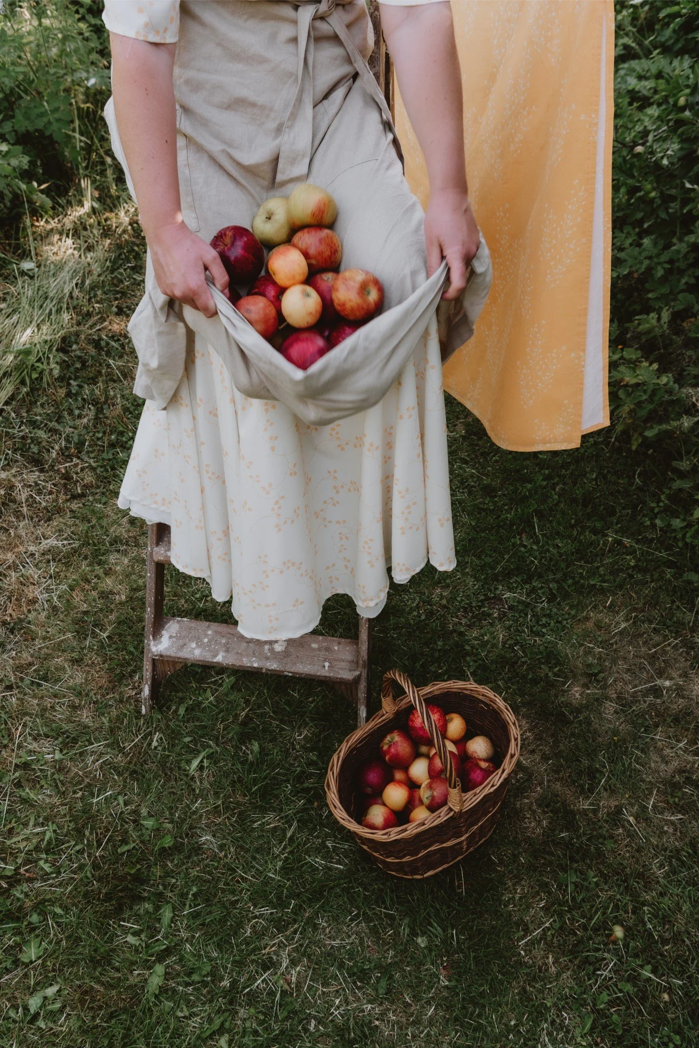 Person holding a cloth bag filled with apples, standing on a small wooden step stool outdoors. There is a basket of apples on the grass at their feet and a yellow cloth hanging nearby.