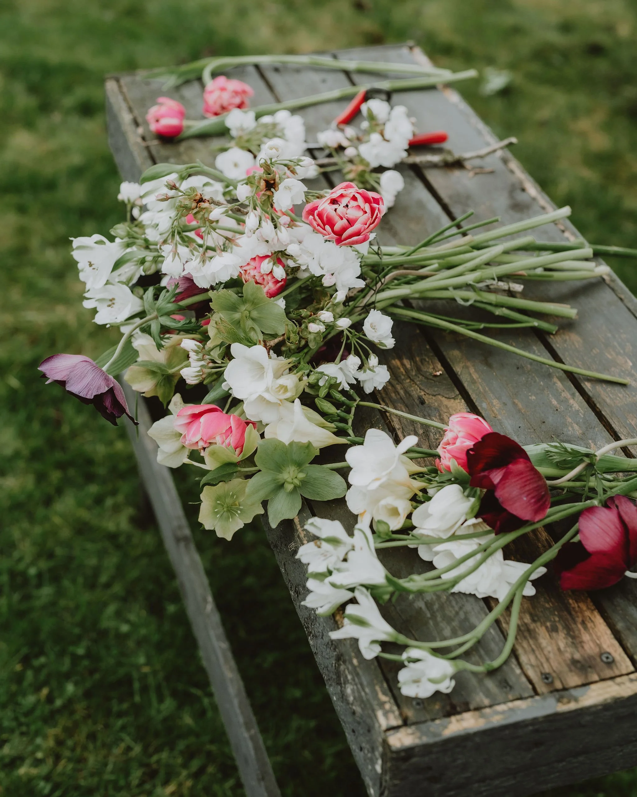 WildlyBeautifulFlowersSpring306.jpg
