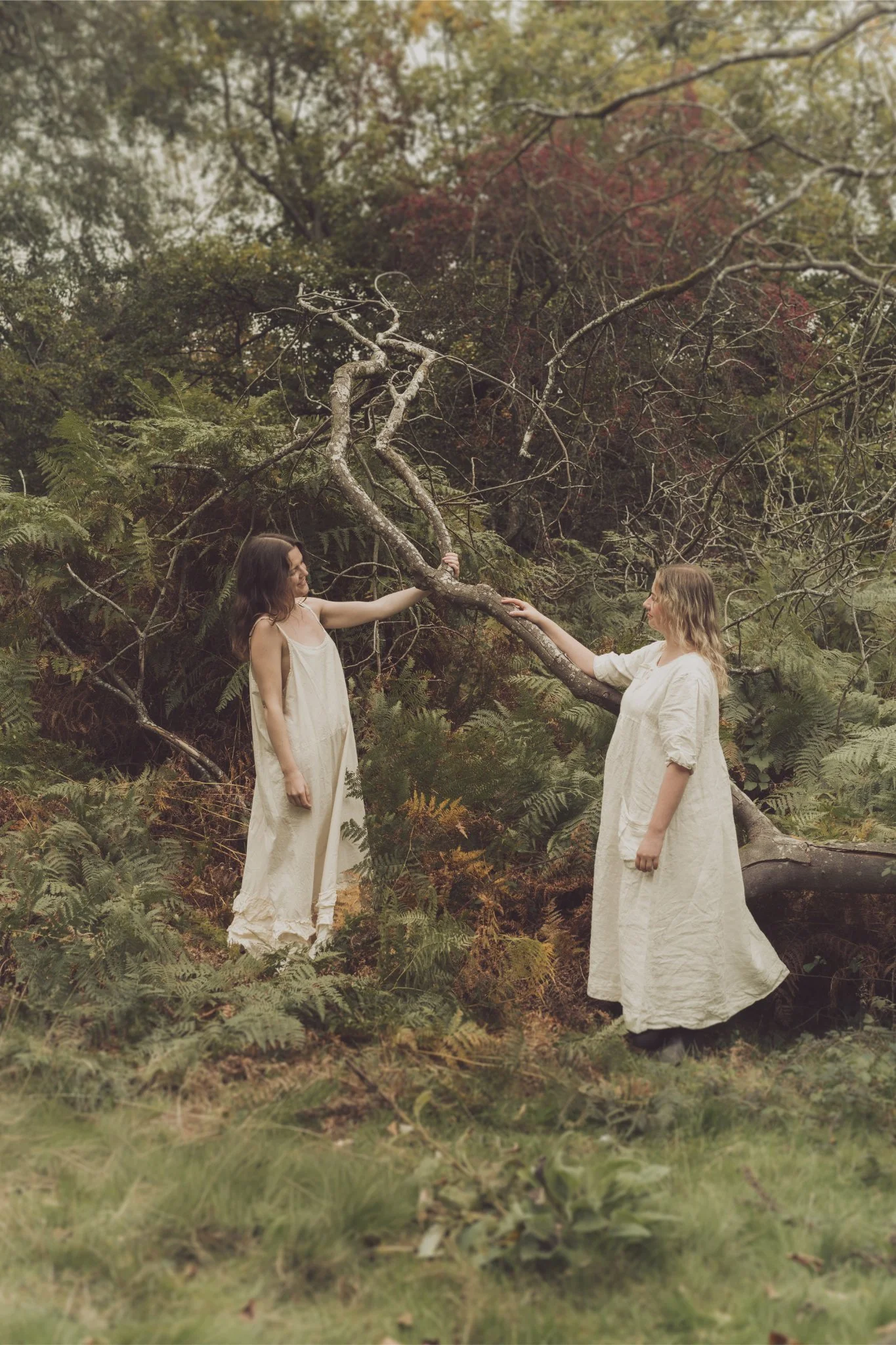 Two women with long hair, dressed in light-colored (white or cream) dresses, stand in a lush forest surrounded by greenery and ferns. They are reaching out to hold a large, twisted tree branch that connects them. The scene has a mystical, artistic at