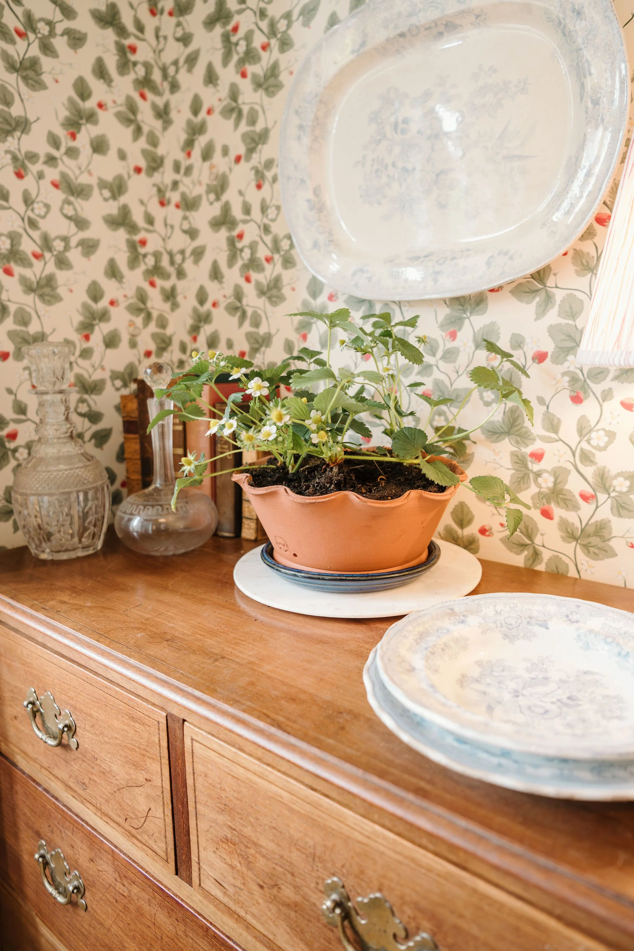 Elsies Daughters SS26 photography by Kate cullen (32).jpg