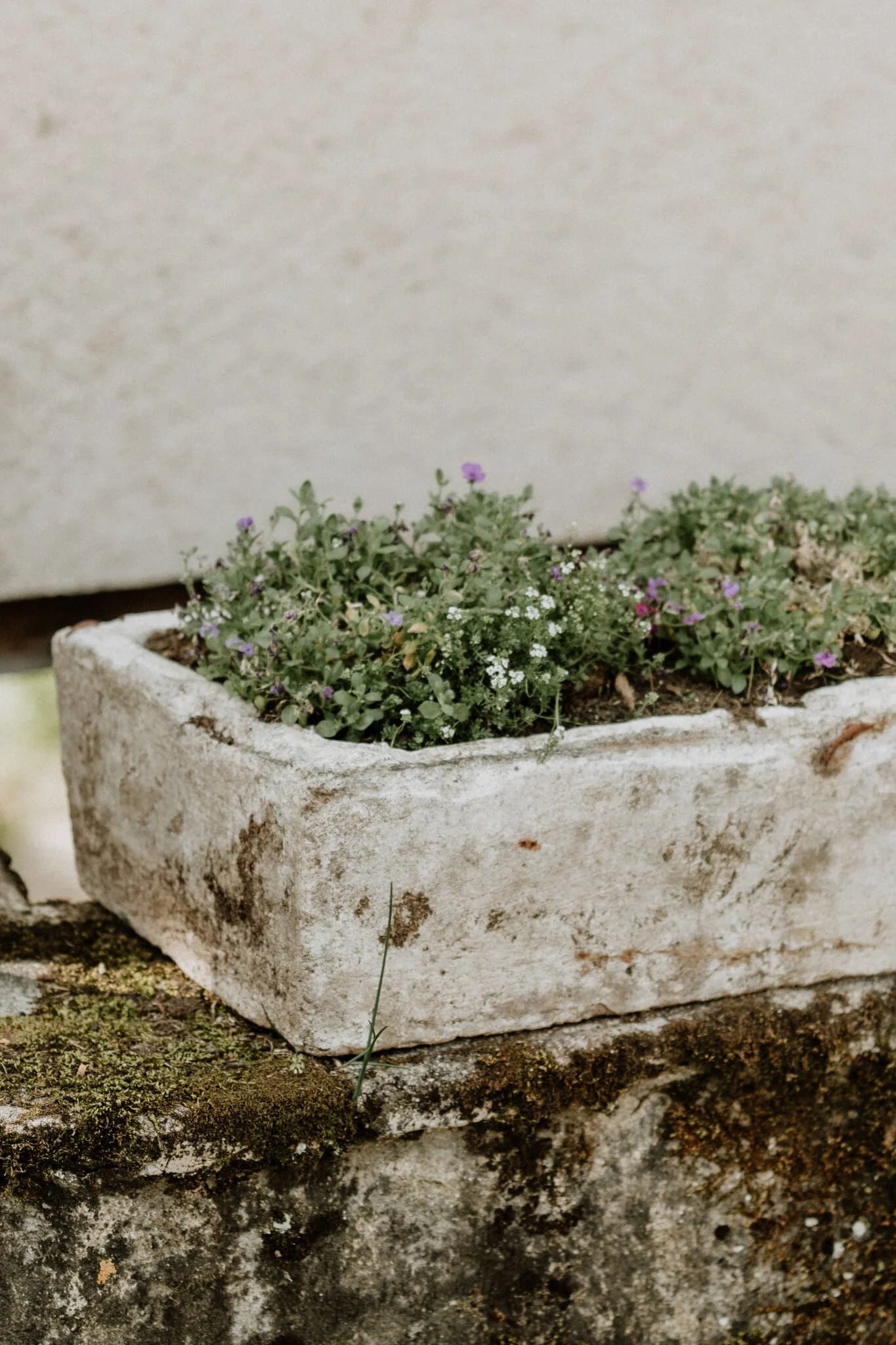 lifestyle photography by Kate Cullen (3).jpg