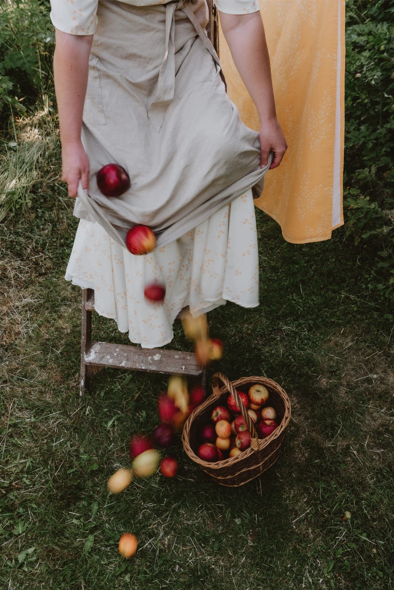 A woman in a beige skirt and floral blouse is tossing red and yellow apples from a cloth bag into a basket on the grass, with a yellow curtain in the background.