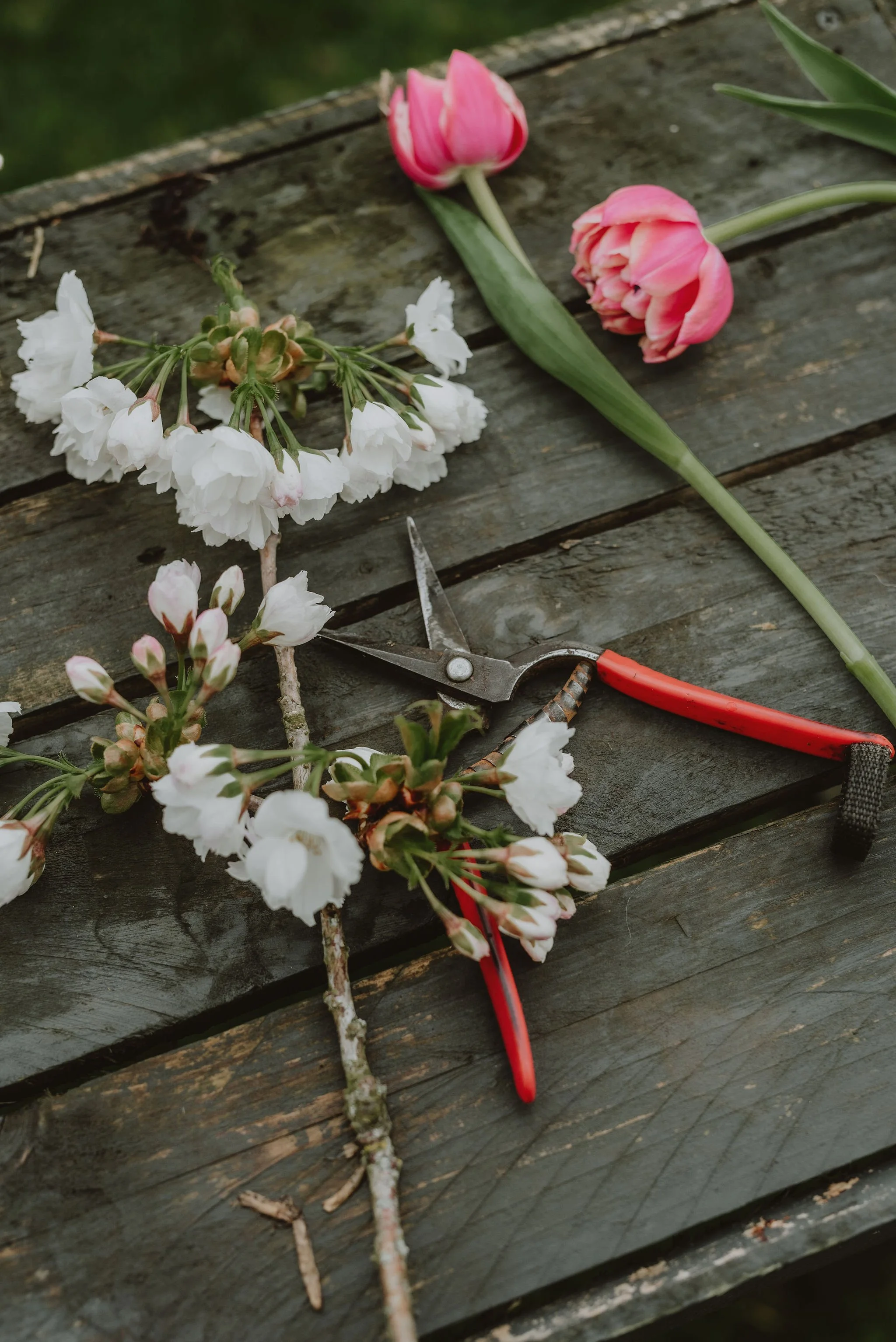 WildlyBeautifulFlowersSpring312.jpg