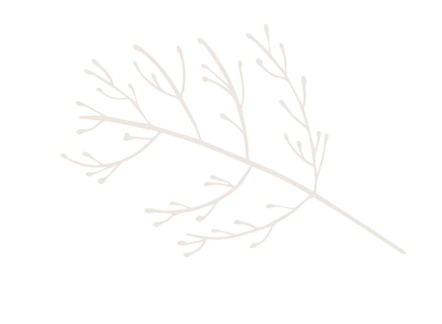 judith brown jewellery e-11.jpg