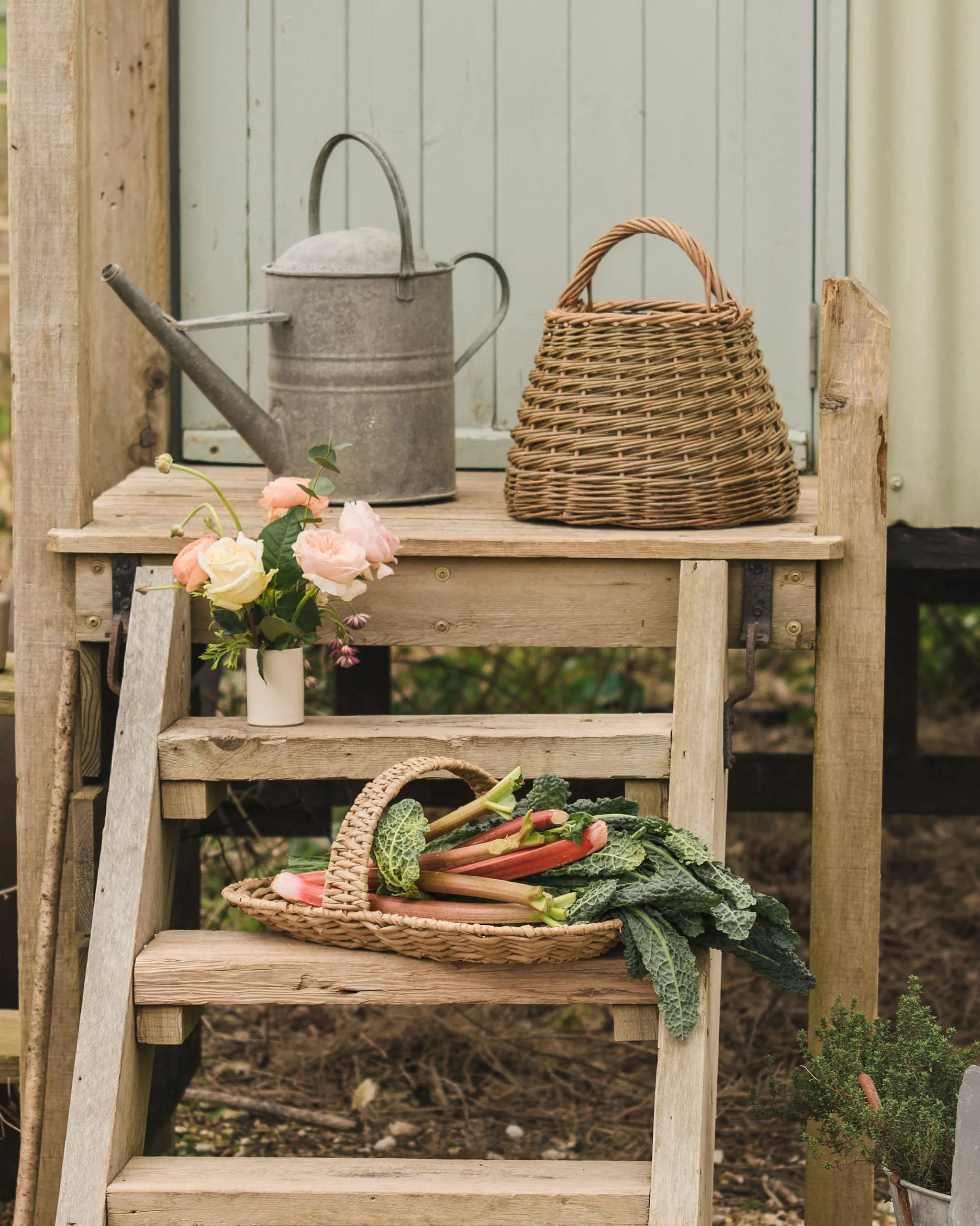 Sorbet Living lifestyle photoshoot by Kate Cullen (29).JPG