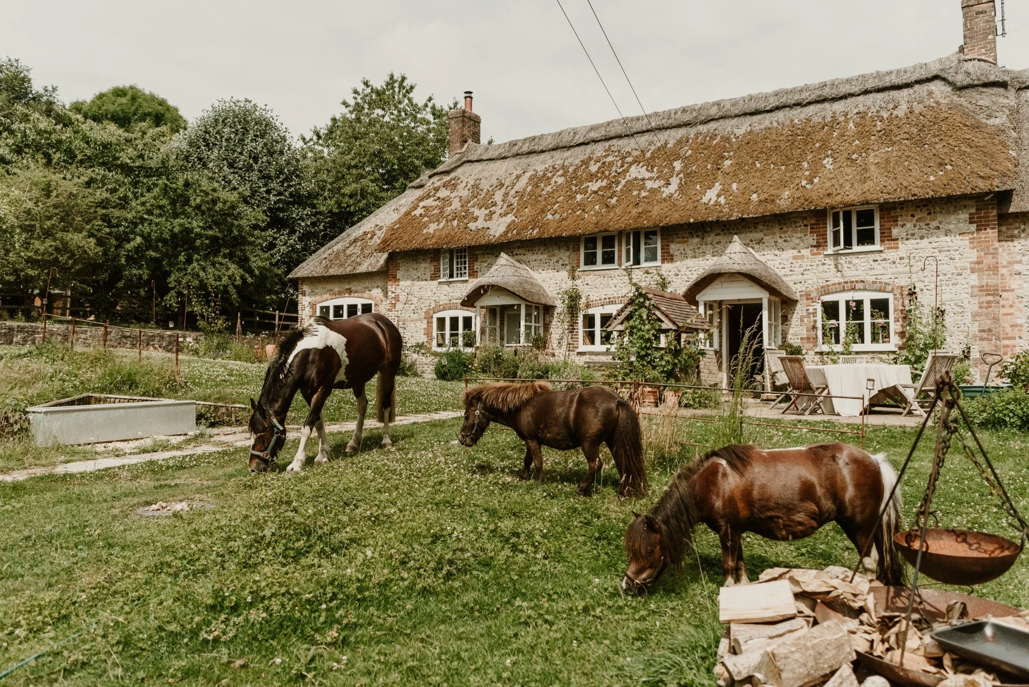A rustic brick cottage with a thatched roof surrounded by a green yard with three small horses grazing and a house in the background.