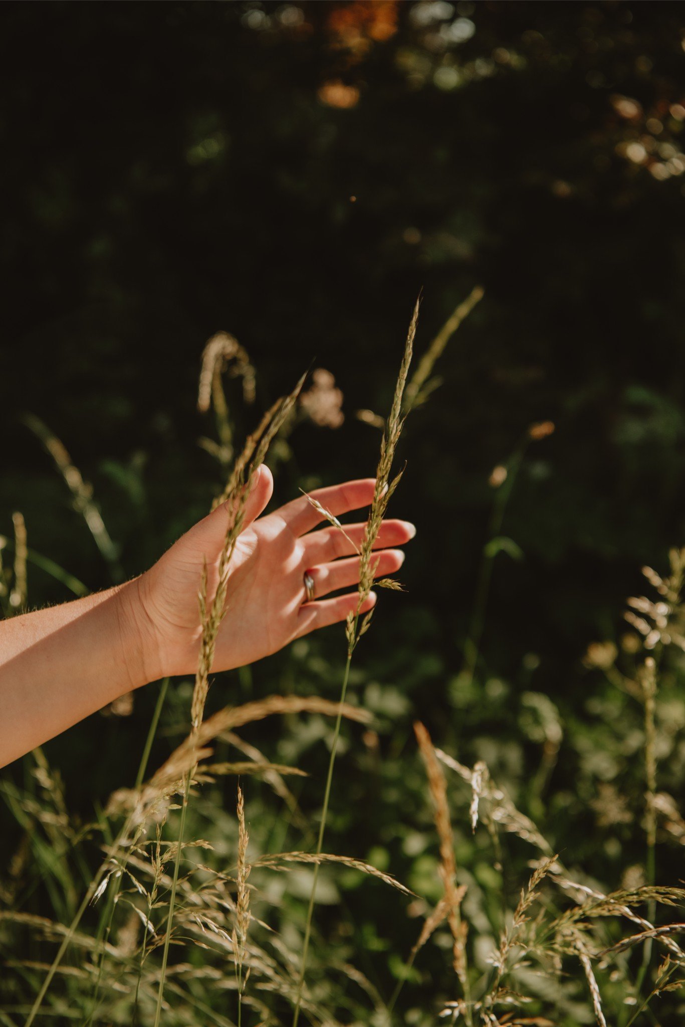 A person's hand reaching out to touch tall grass stems in a natural outdoor setting with blurred greenery in the background.