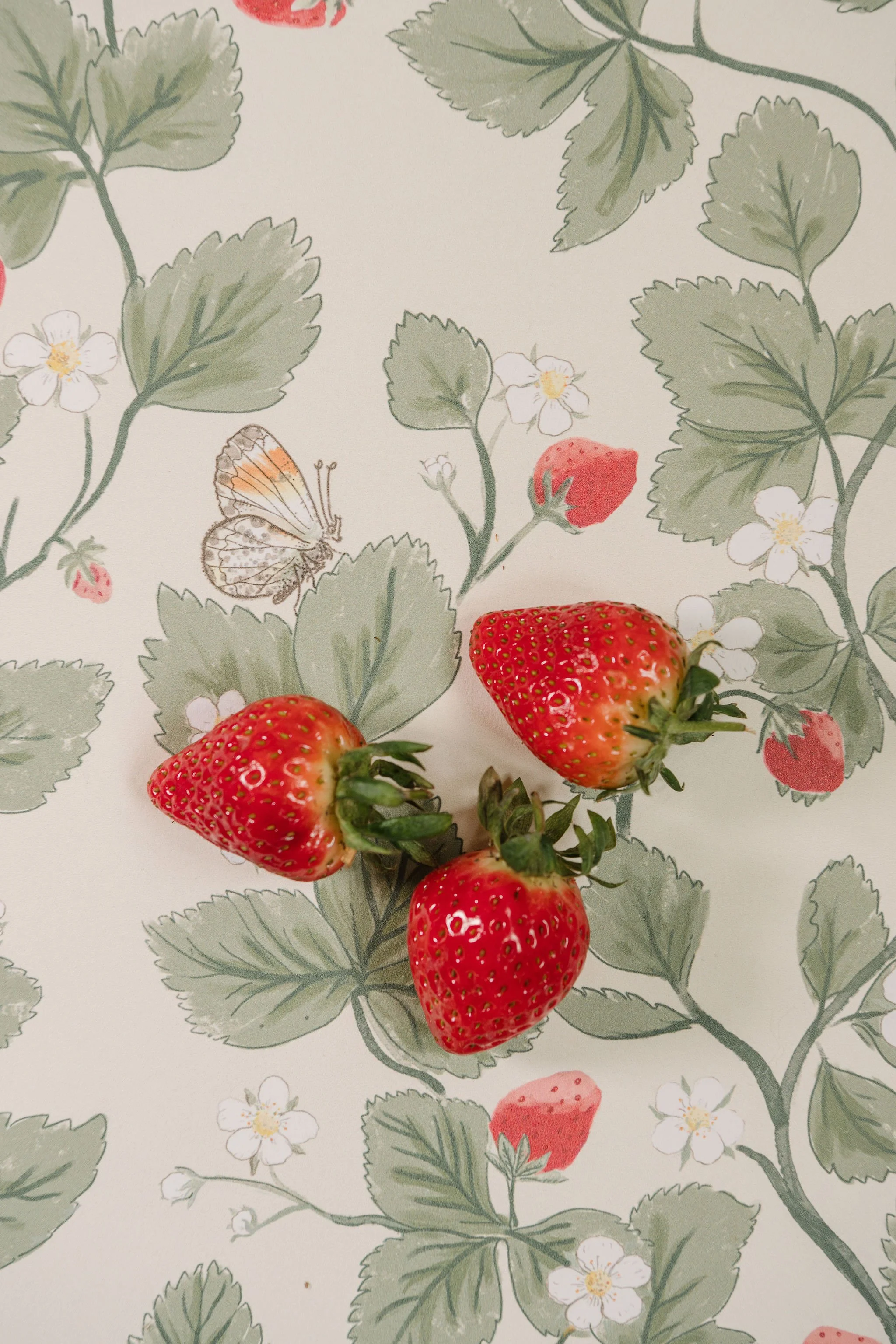 Elsies Daughters SS26 photography by Kate cullen (40).jpg