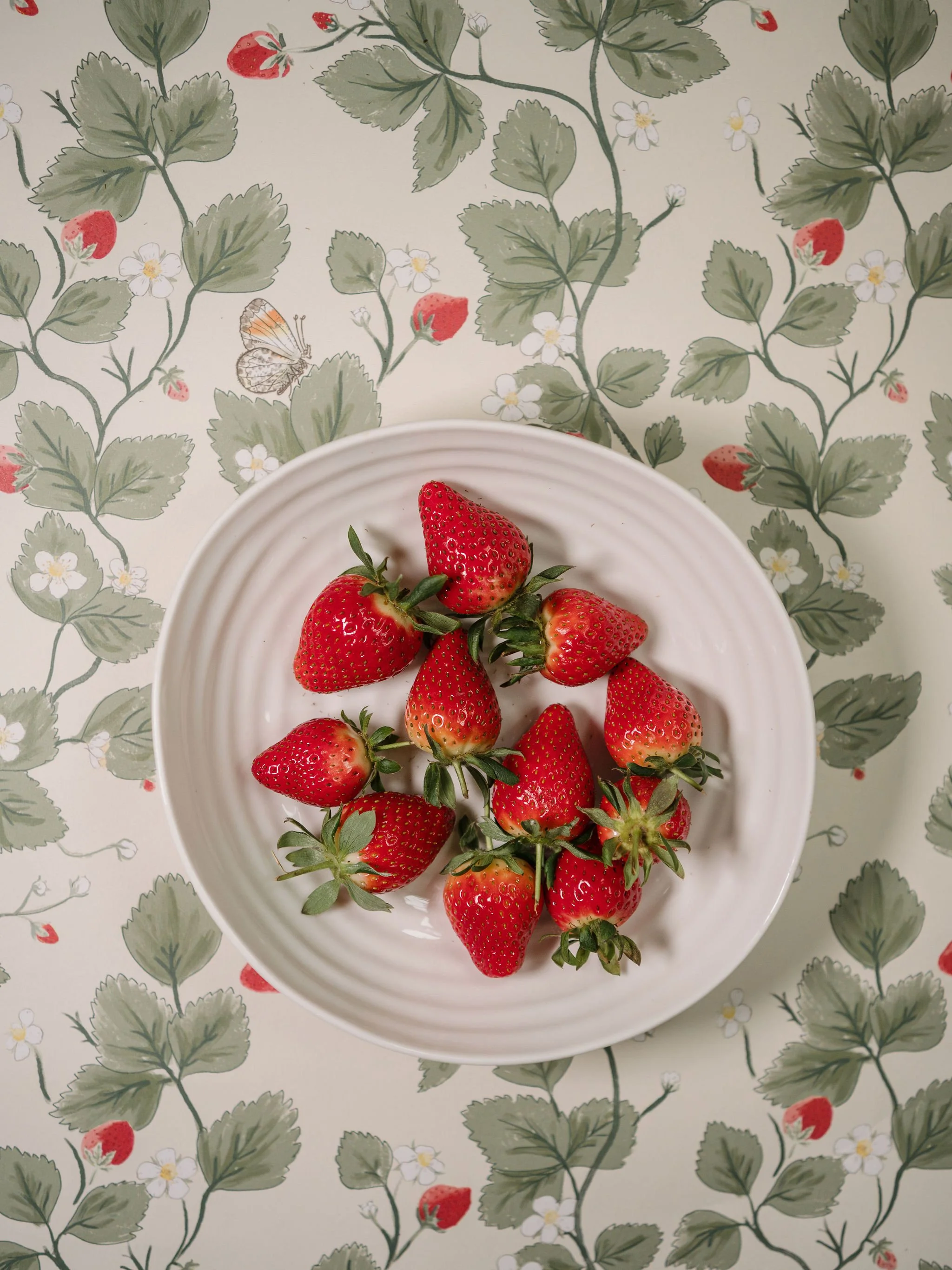 Elsies Daughters SS26 photography by Kate cullen (41).jpg