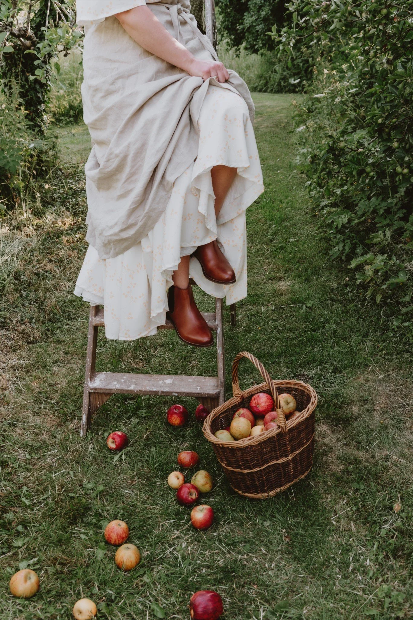 A woman sitting on a small step ladder in an orchard, collecting freshly picked apples into a basket, with some apples spilled on the grass.