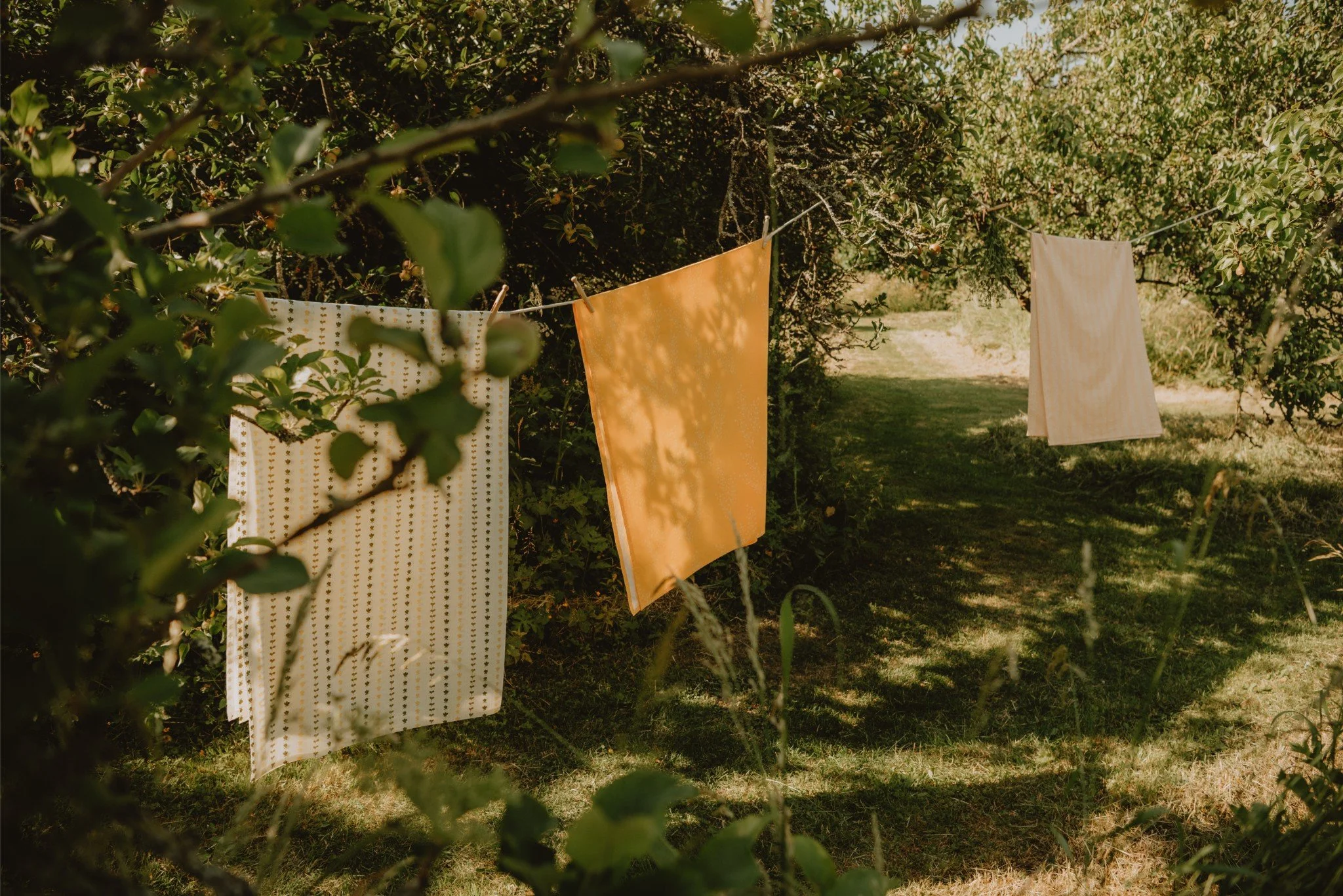 Drying laundry hanging on a clothesline in a grassy, tree-filled outdoor area.