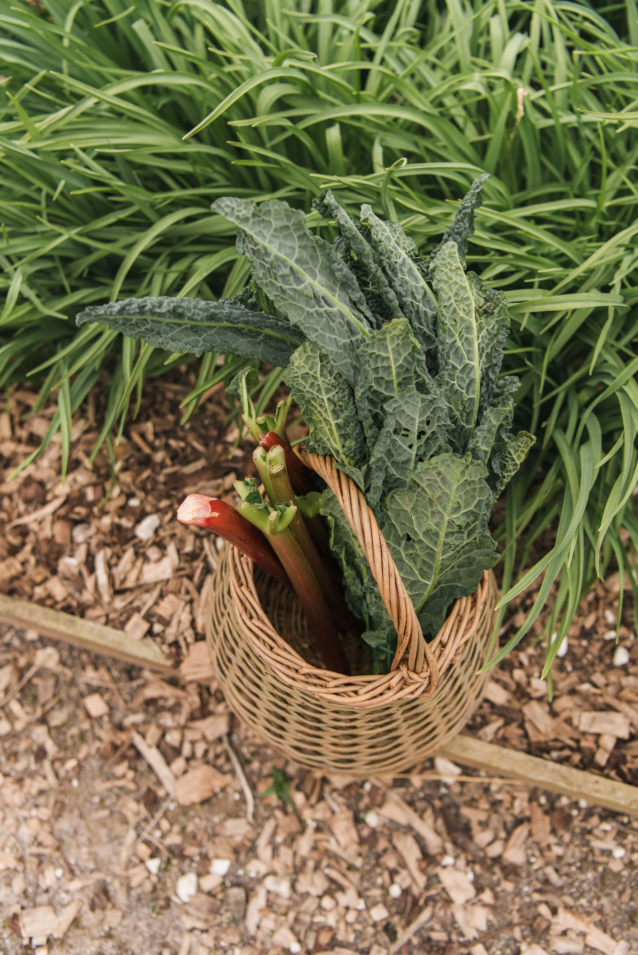 Sorbet Living lifestyle photoshoot by Kate Cullen (44).JPG