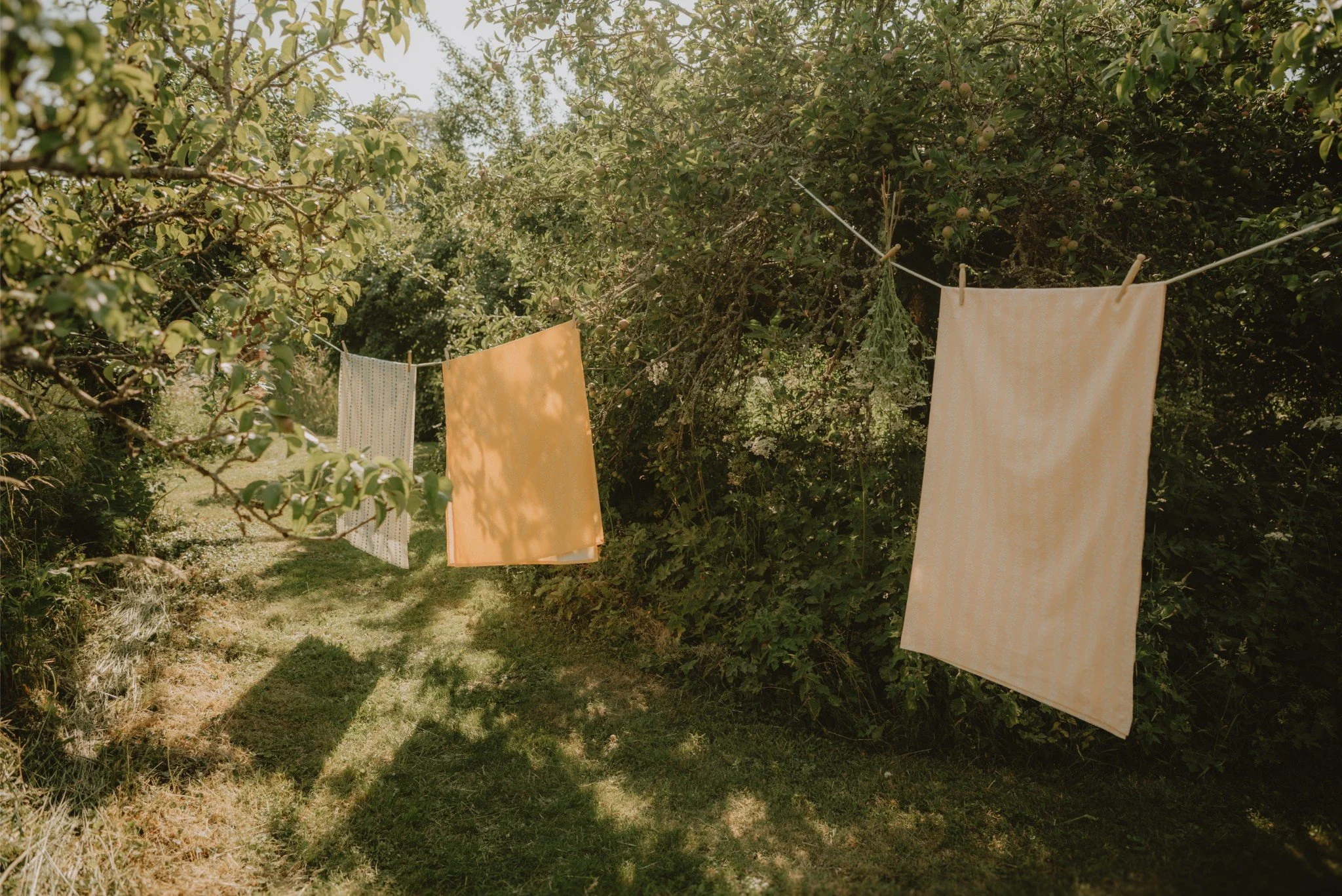 Clothes hanging on a line in a garden surrounded by trees and greenery, with shadows cast on the ground.