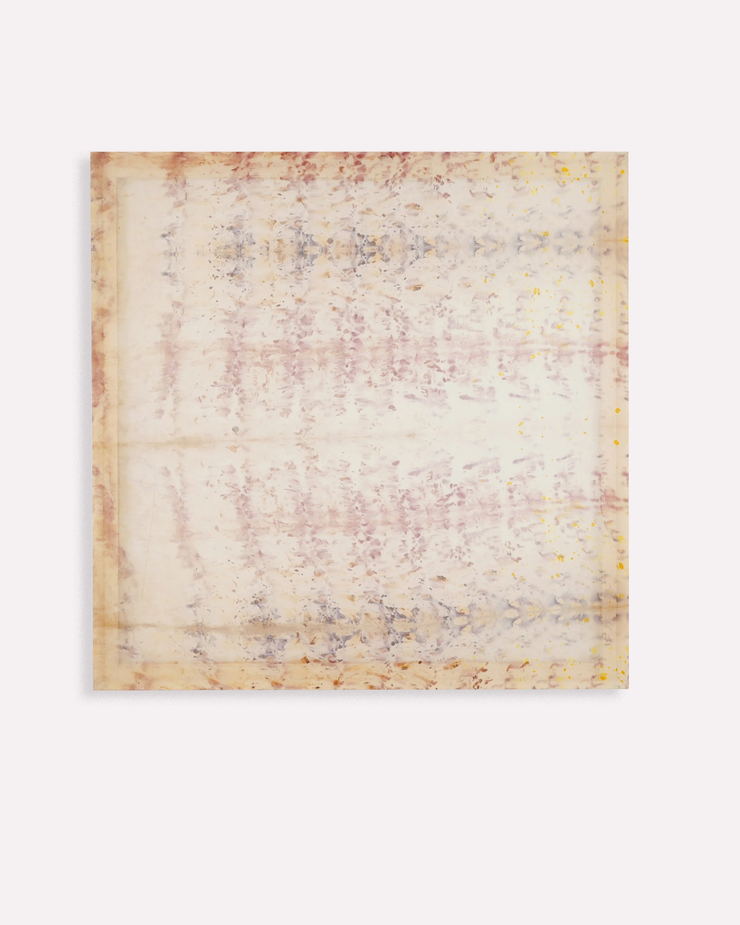 Andie Aylsworth _Untitled (Curated Nature 2)_ 2023 100 cm x 100 cm - Andie Aylsworth.jpg