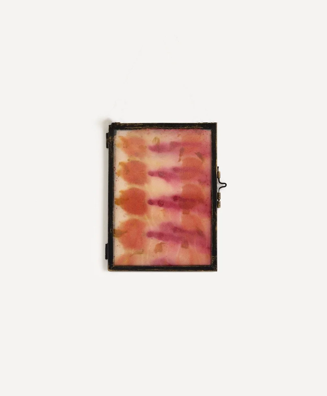 Untitled (Curated Nature V) - Andie Aylsworth.jpeg