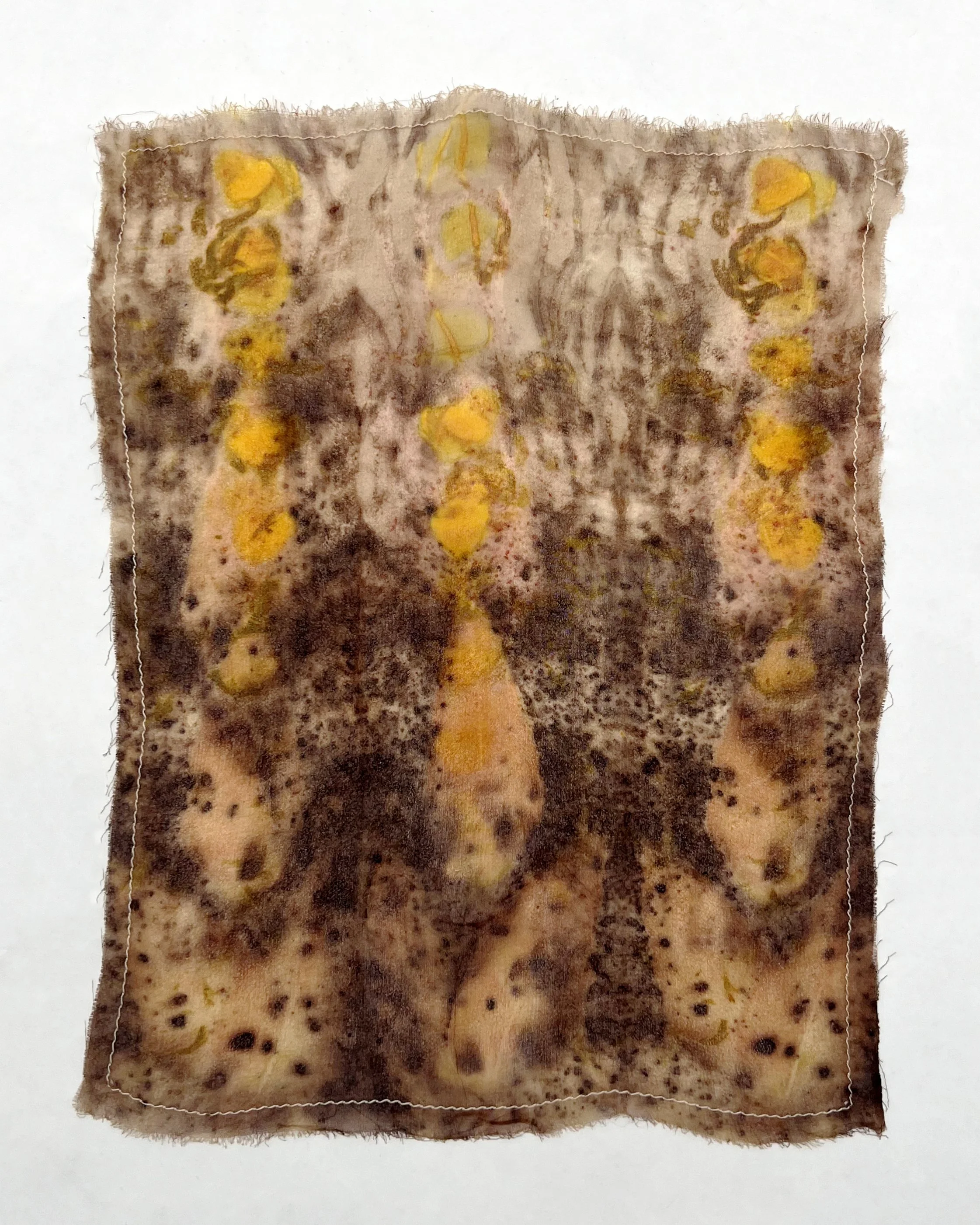 Untitled (Curated Nautre VII) - Andie Aylsworth(1).jpeg