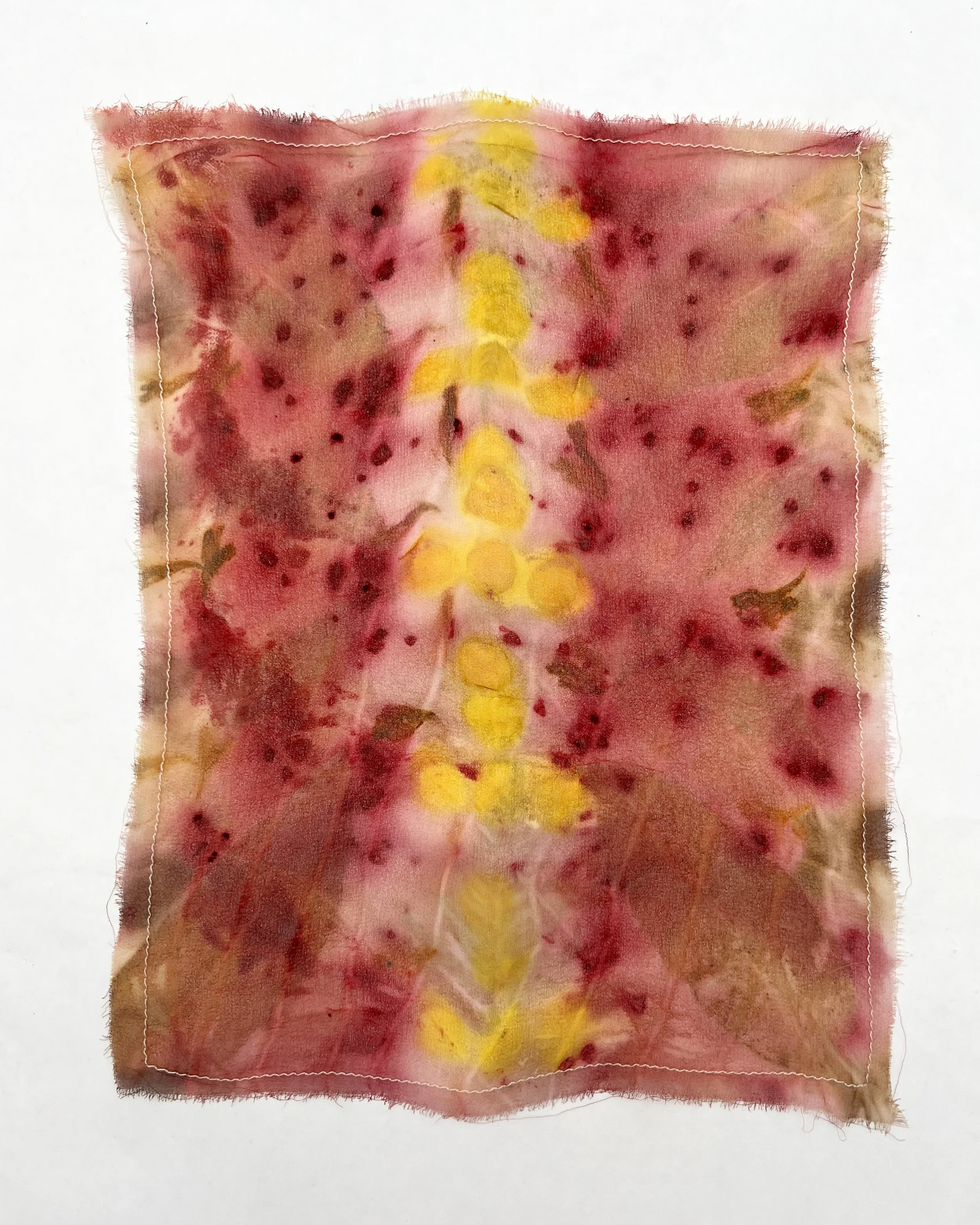 Untitled (Curated Nature IX) - Andie Aylsworth(1).jpeg