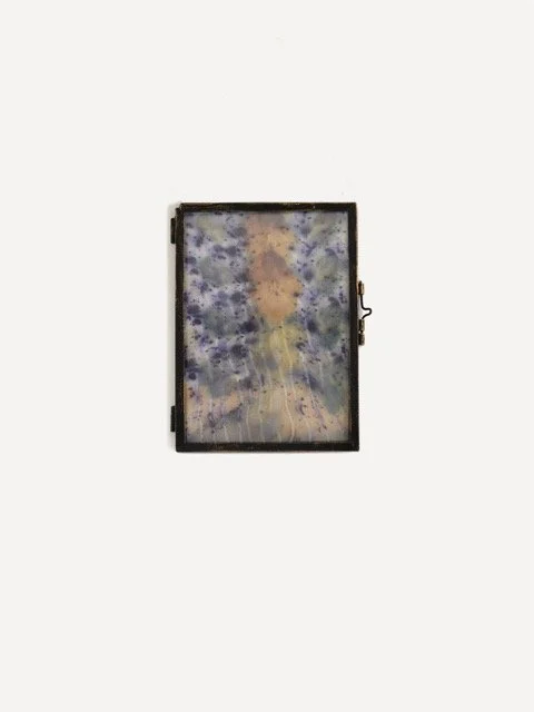 Untitled (Curated Nature IV) - Andie Aylsworth.jpeg