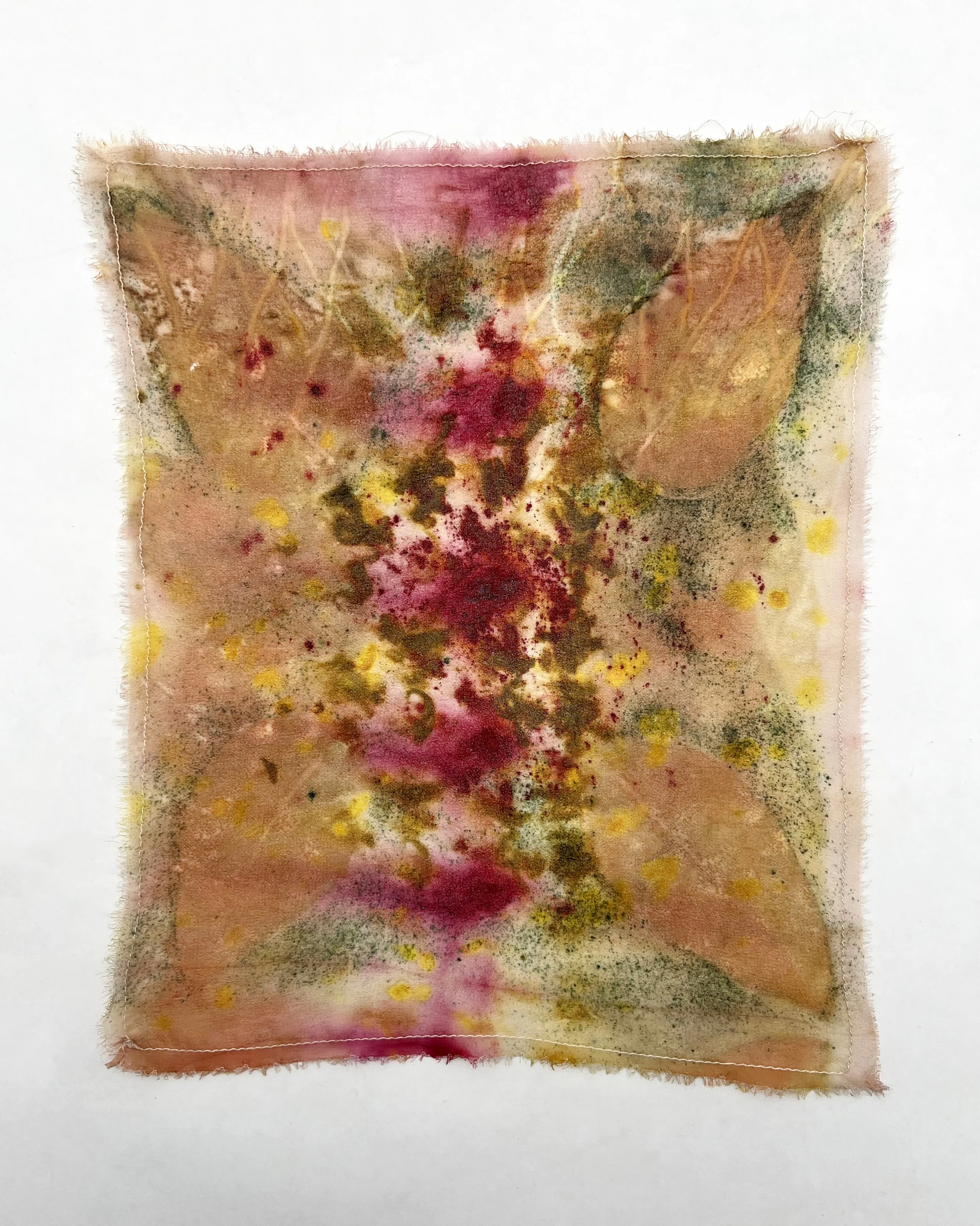 Untitled (Curated Nature X) - Andie Aylsworth(1).jpeg