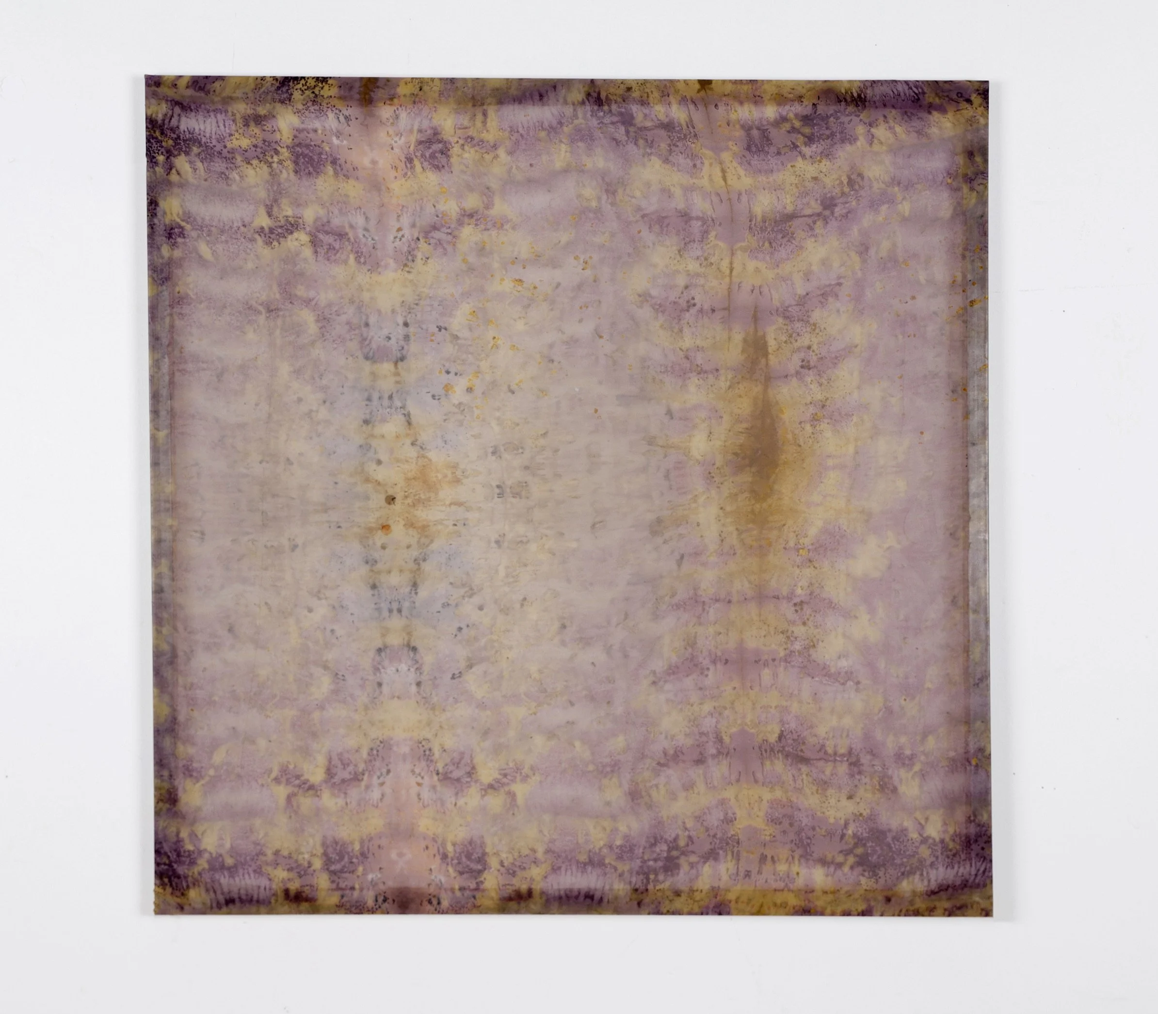 Andie Aylsworth _Untitled (Curated Nature 1)_ 2023 100 cm x 100 cm - Andie Aylsworth.jpeg