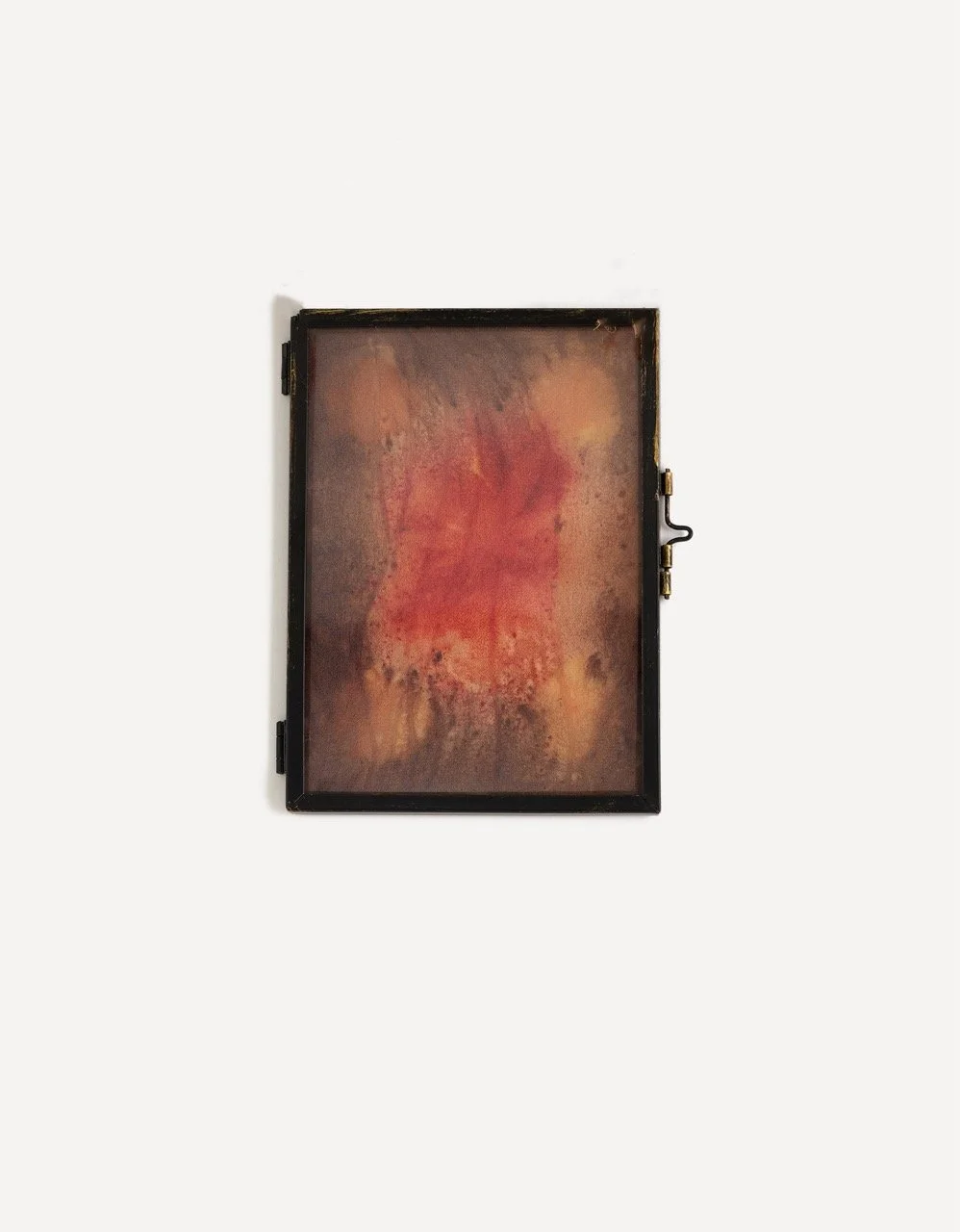 Untitled (Curated Nature III) - Andie Aylsworth(1).jpeg