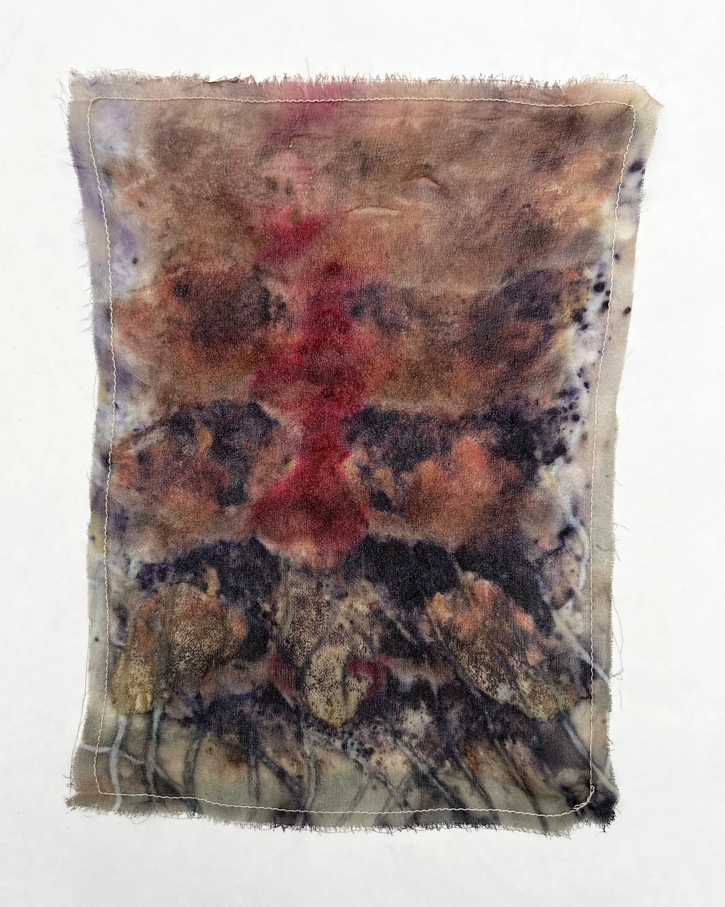 Untitled (Curated Nature VIII) - Andie Aylsworth(1).jpeg