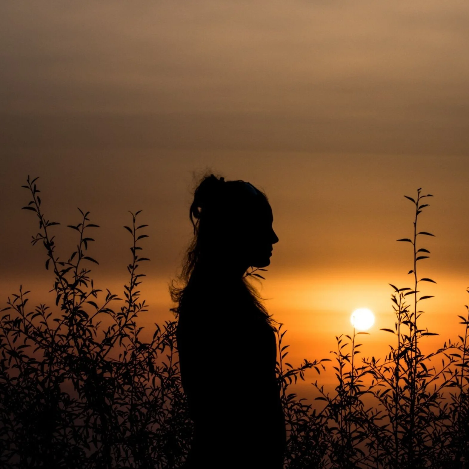 jason-blackeye-tVo6wYUIBYo-unsplash (1).jpg