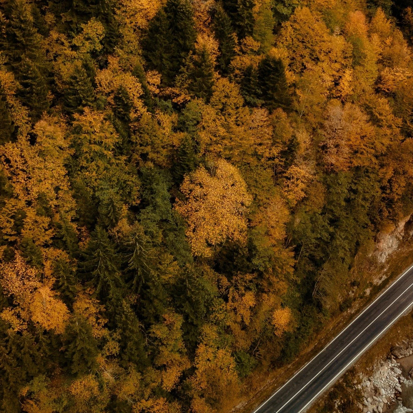 🍂 Autumn Applications: Expert Help for the 2026 UCAS Personal Statement

As the autumn admissions season begins, thousands of students are preparing their UCAS personal statements for 2026 entry. This year&rsquo;s new structured format places even g