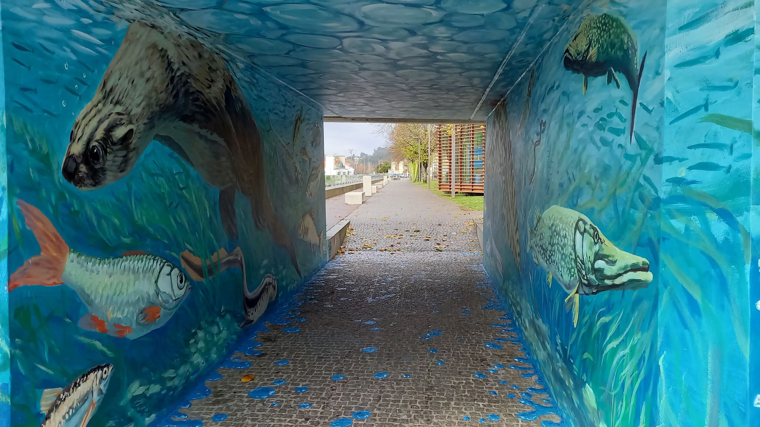 The Sea Starts Here, C-Change urban art installation