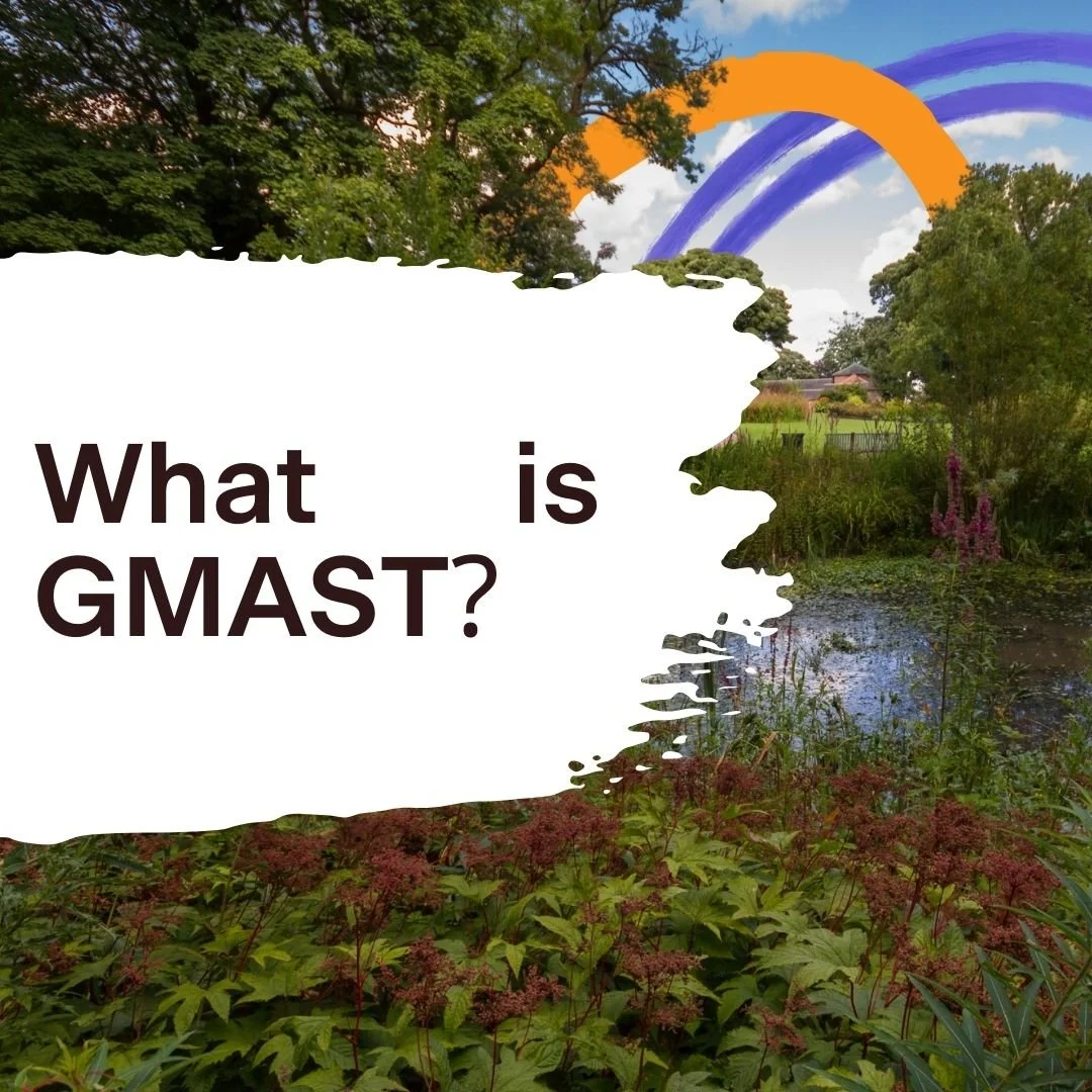 What is GMAST?