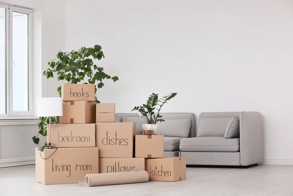 Life Transitions - Anchor Girl Organizing